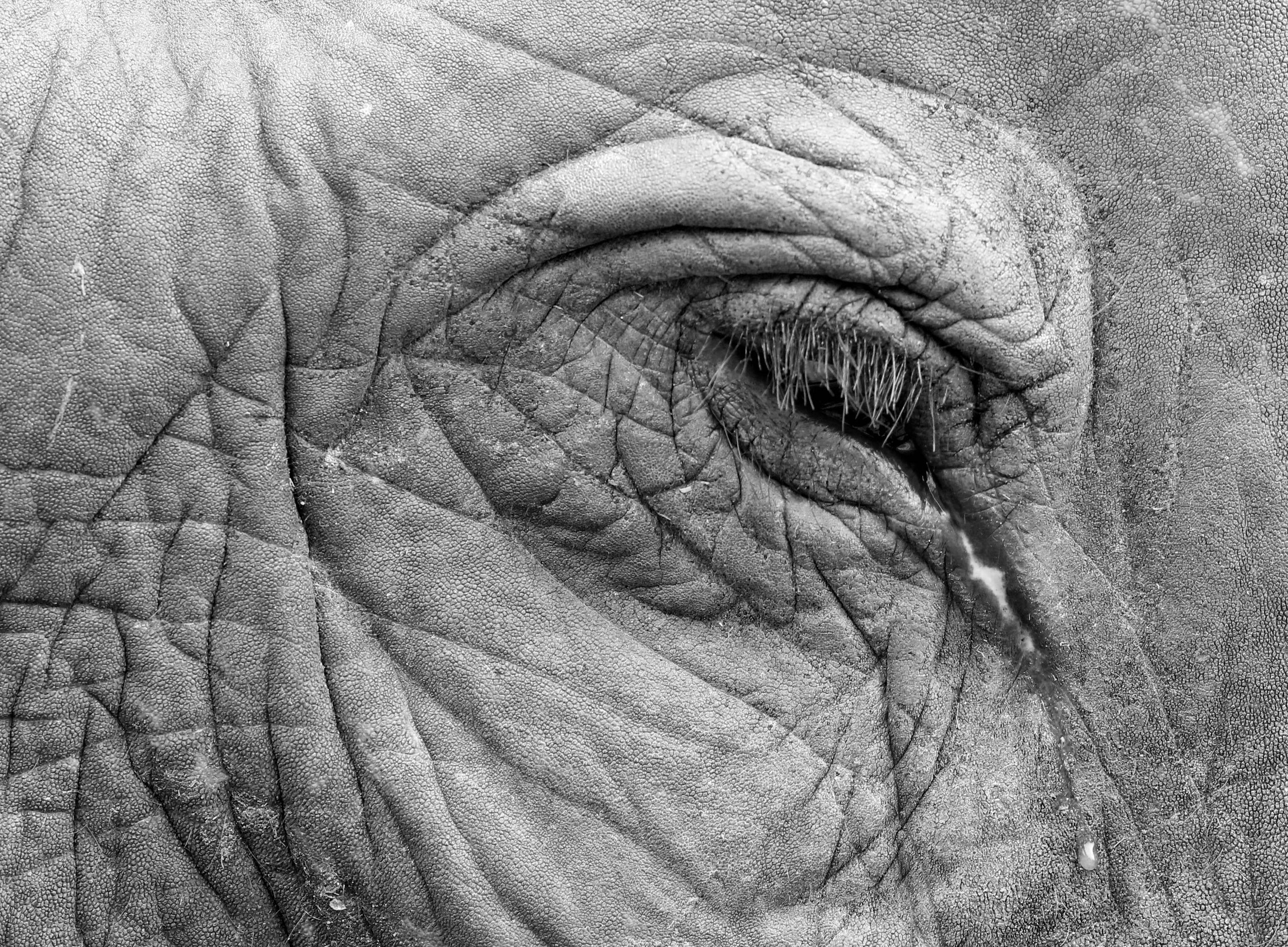 2013 Ayutthaya ISB Passion Day (35).JPG