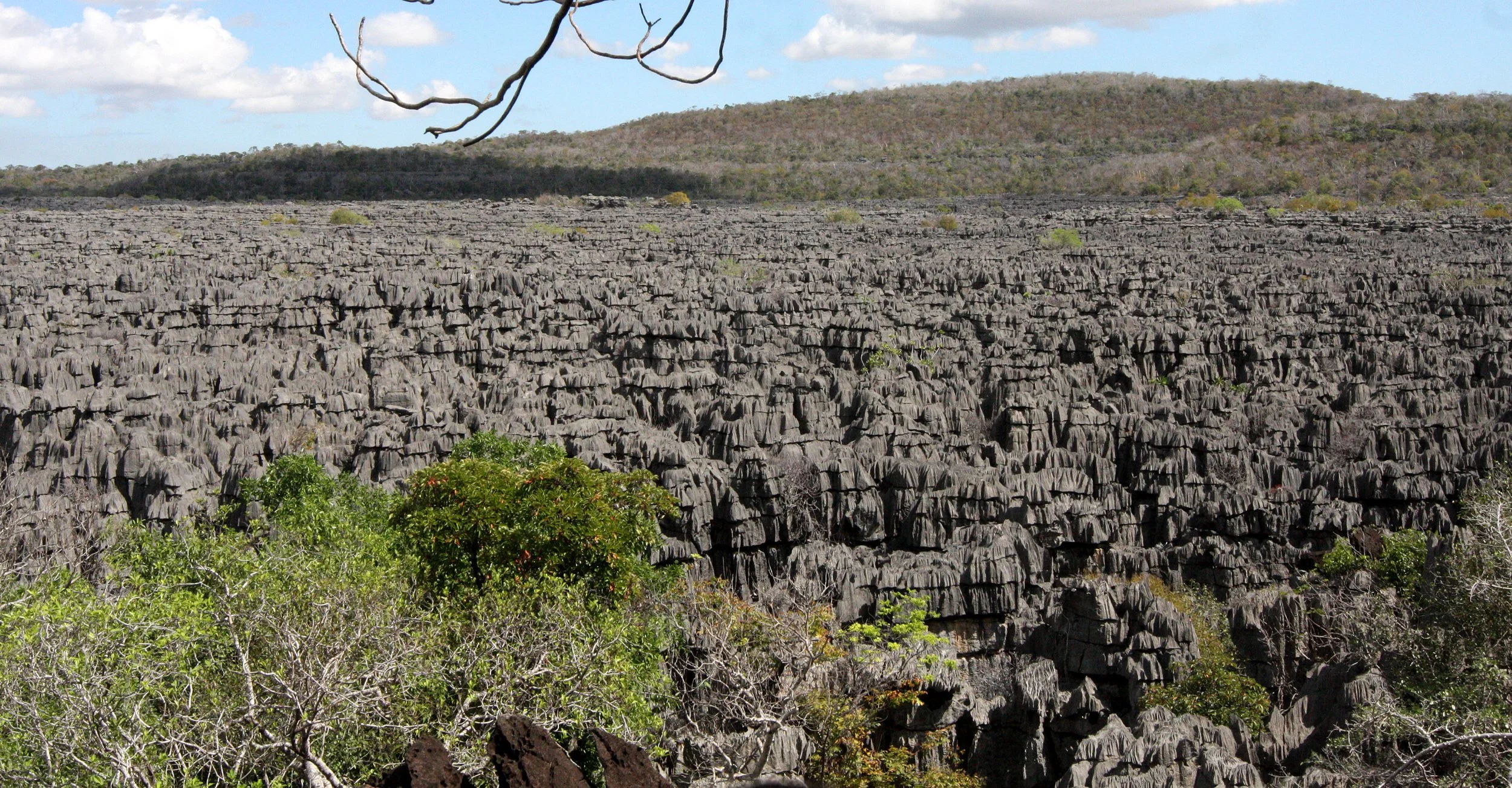ANKARANA NATIONAL PARK MADAGASCAR - TSINGY FOREST (14).JPG