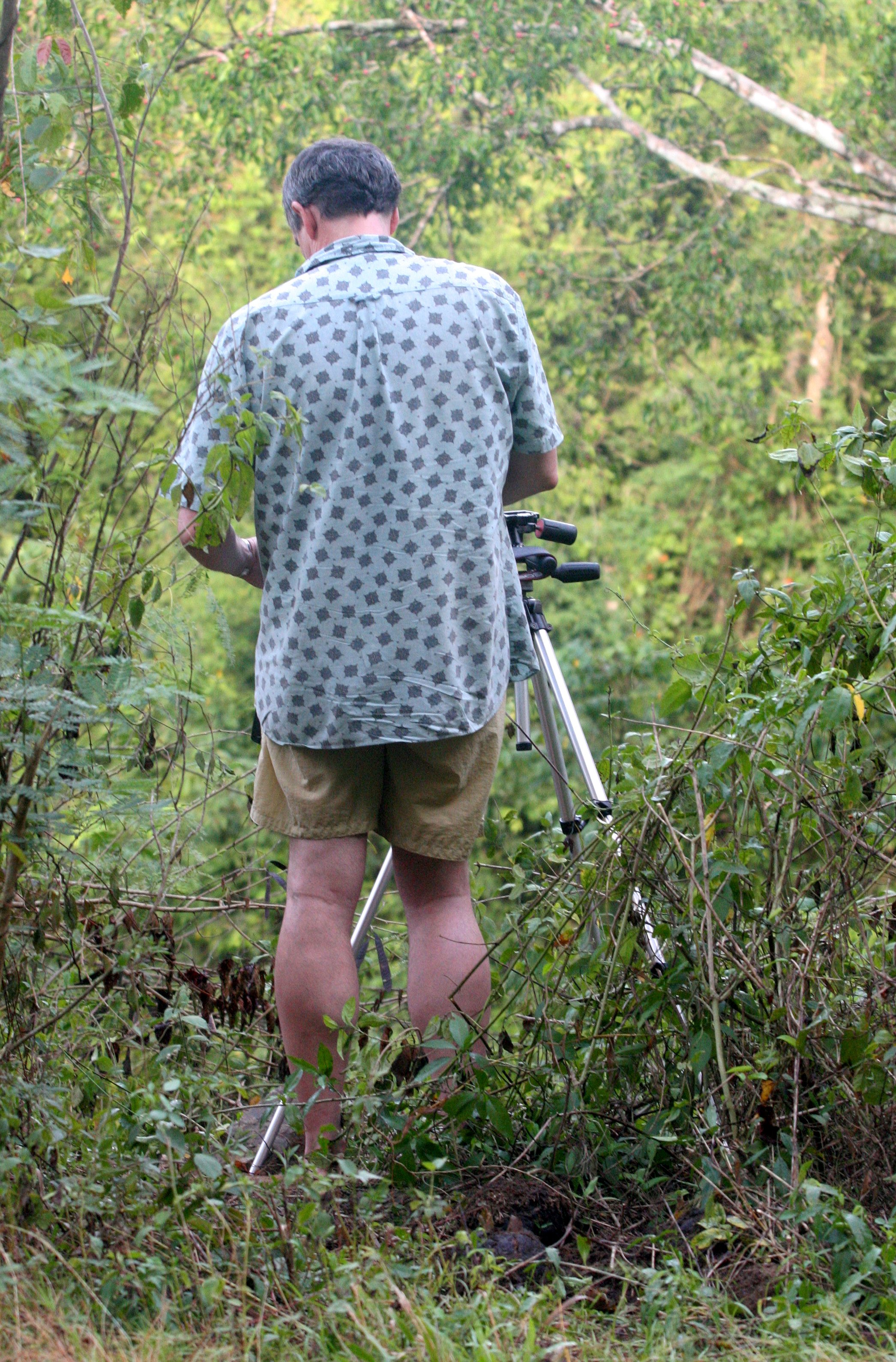 2008 Kaeng Krachan NP Trip with Cokie & Som (41).JPG