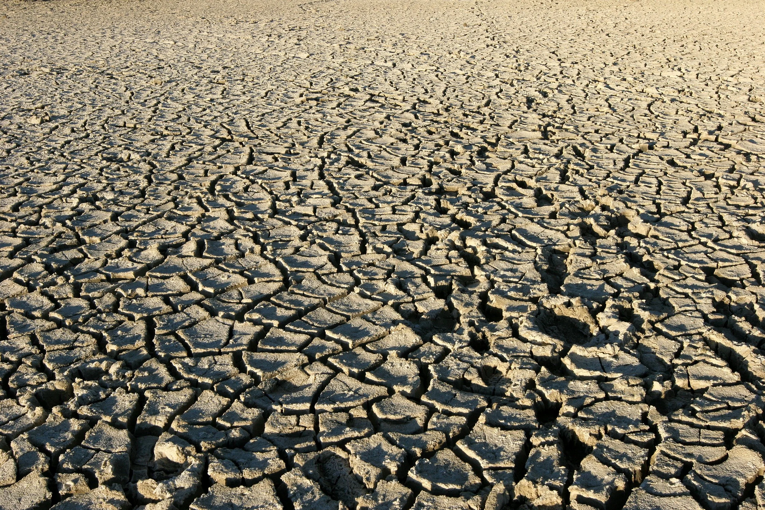 NAMIBIA - ETOSHA NATIONAL PARK  - ETOSHA PAN (8).JPG