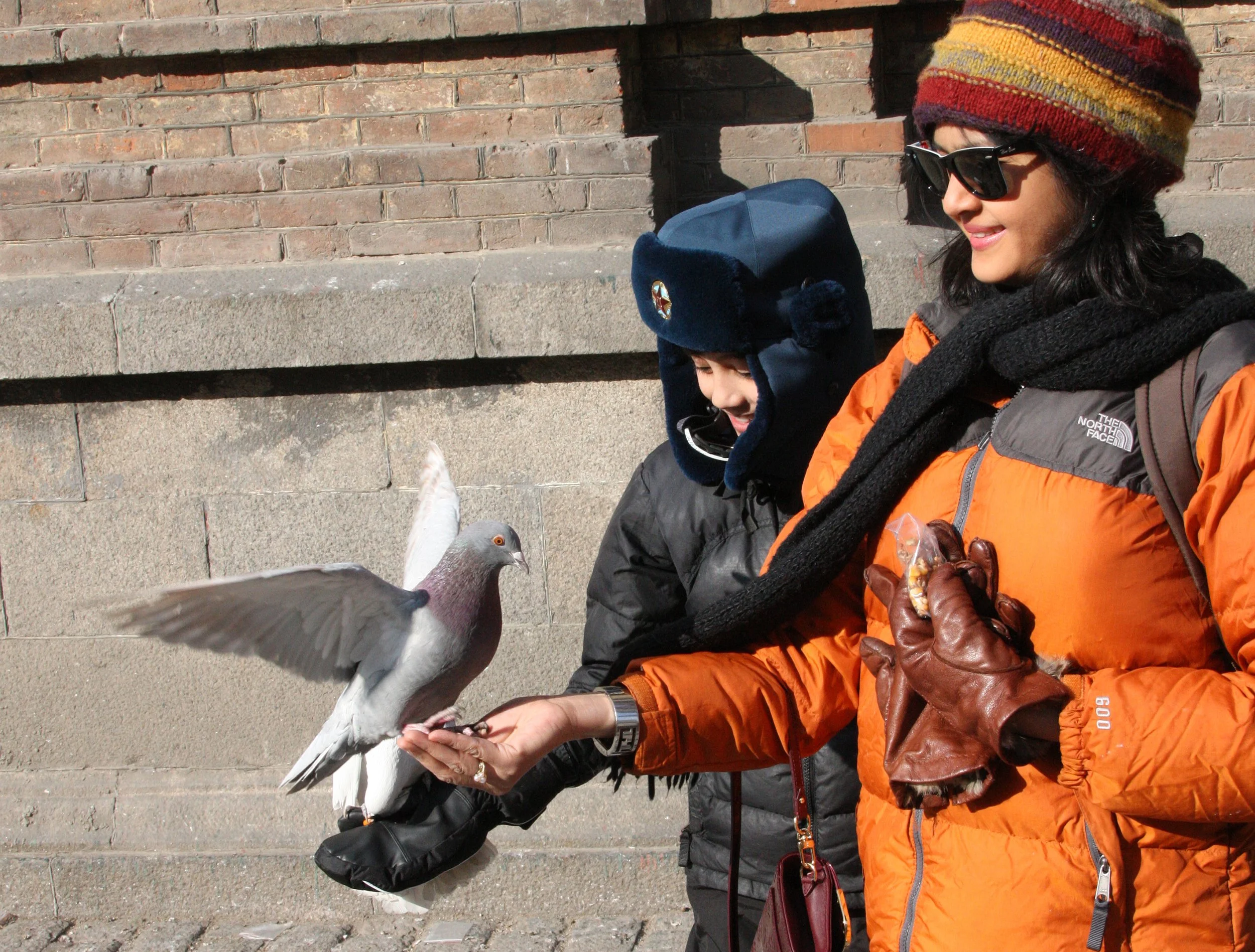 BIRD - PIGEON - HARBIN SAINT SOPHIA'S CATHEDRAL CHINA (34).JPG