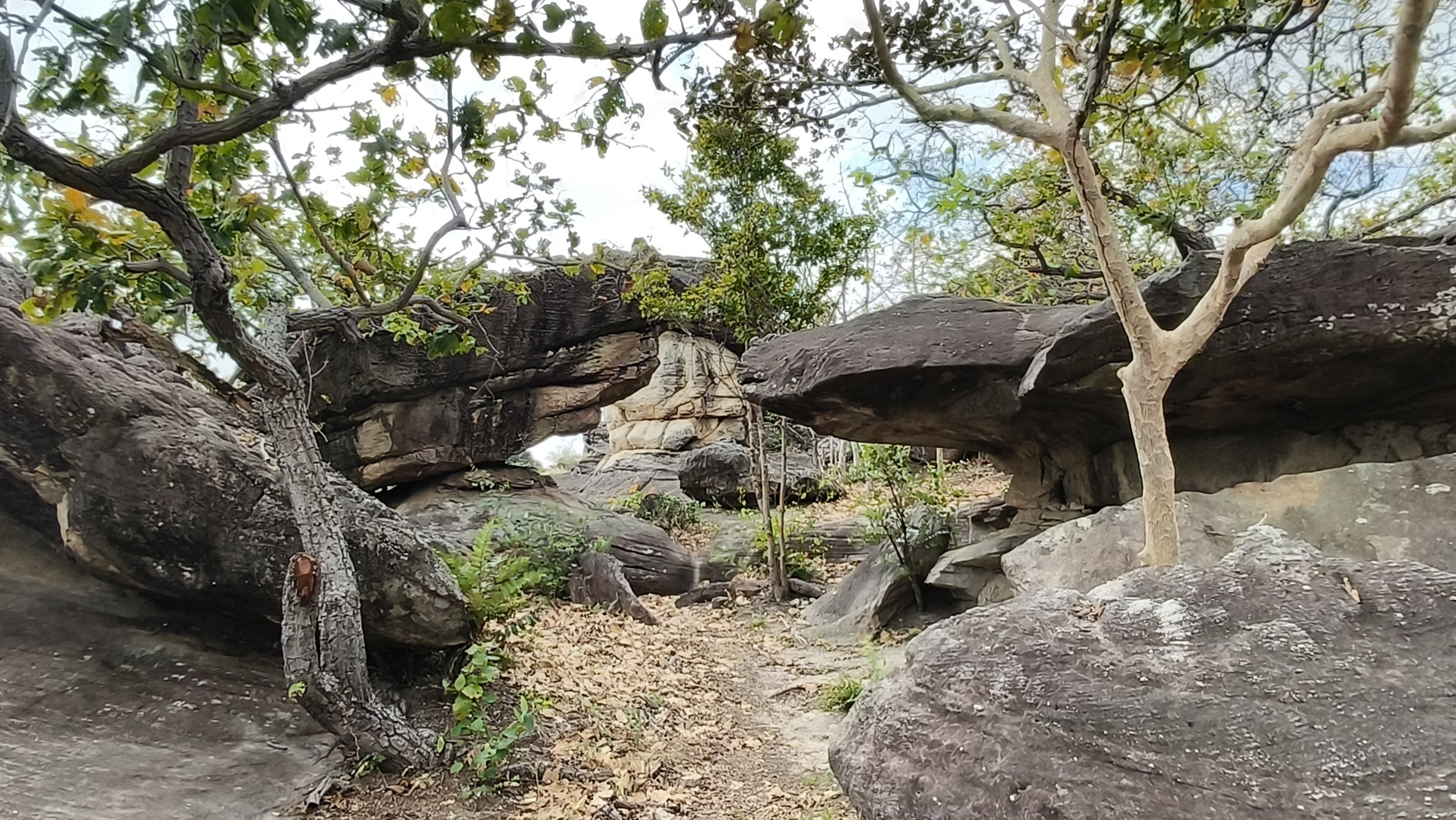  Phu Pha Thoep National Park - Mukdahan Thailand (44).jpg