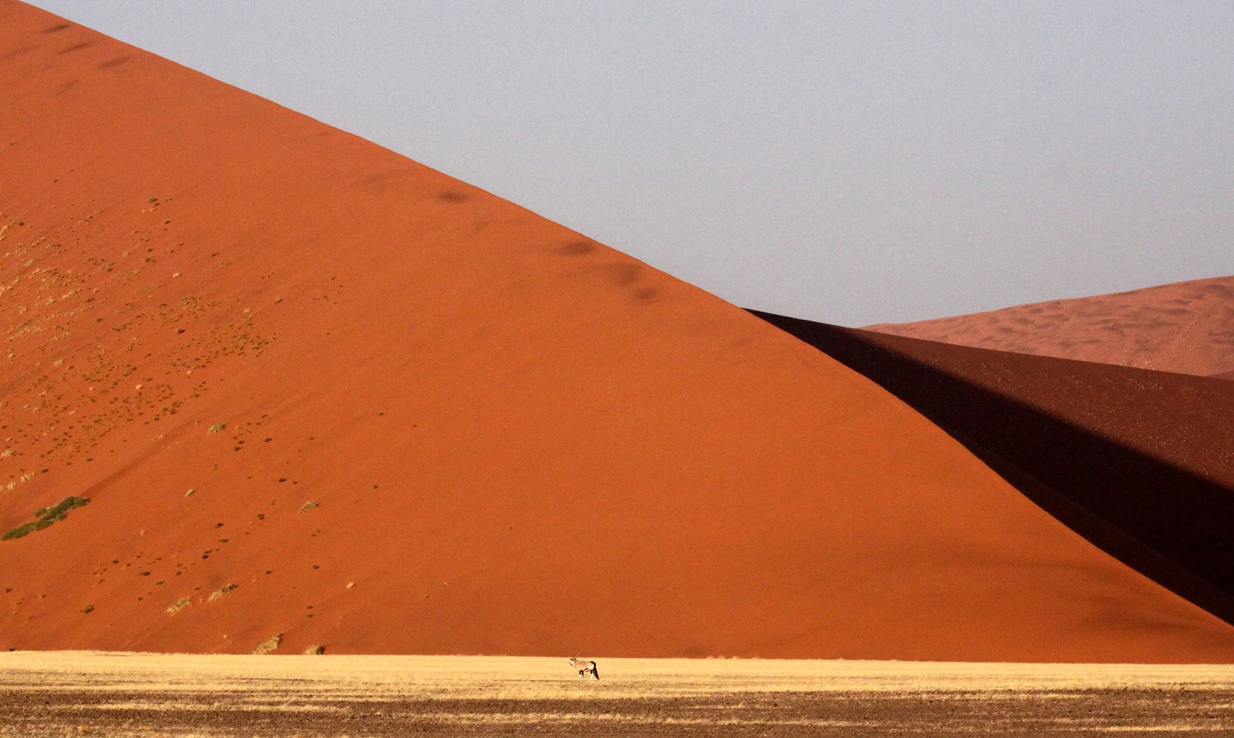 SOSSUSVLEI, NAMIB NAUKLUFT NATIONAL PARK, NAMIBIA.JPG