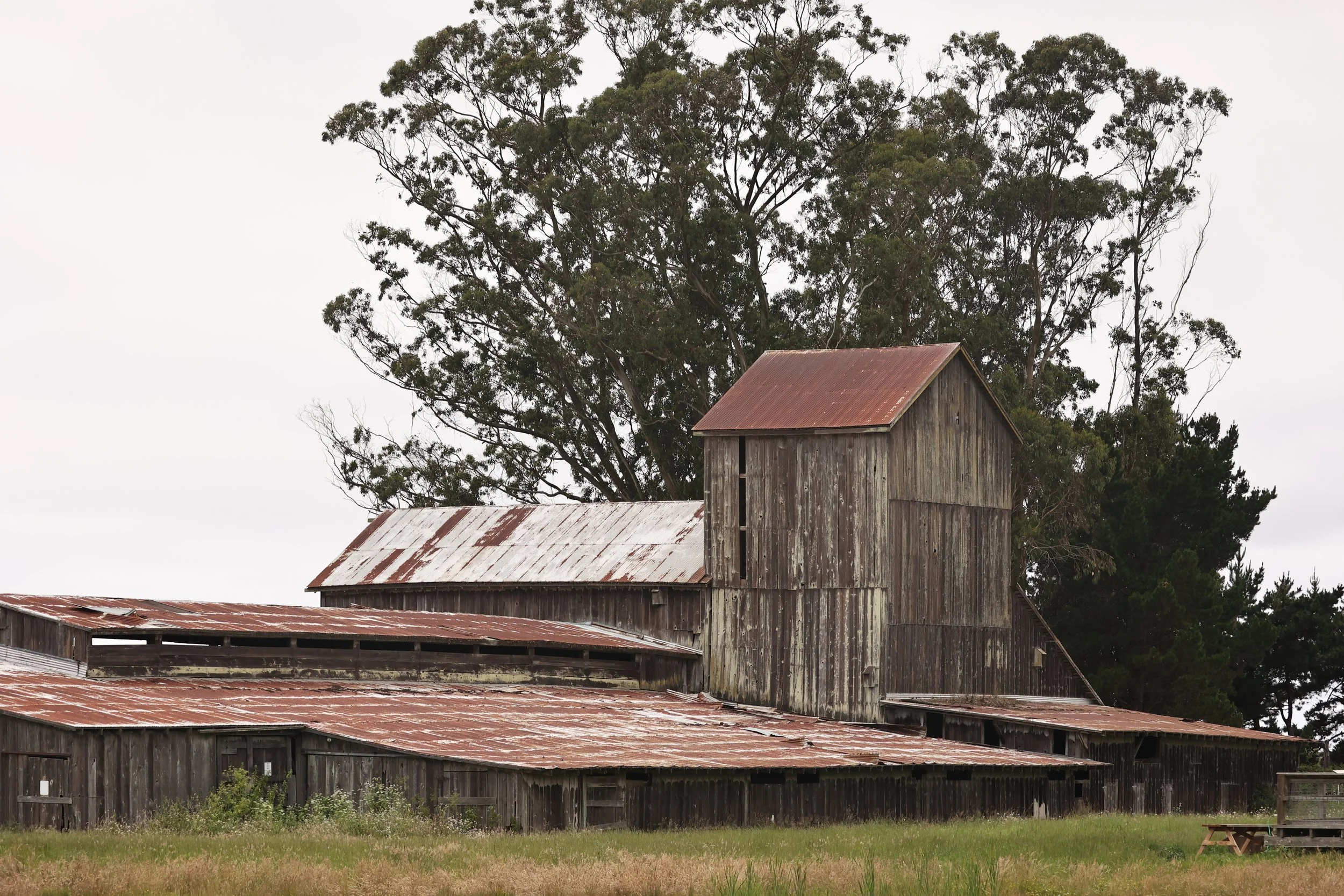 HUMBOLDT BAY NATIONAL WILDLIFE REFUGE CALIFORNIA 2022 (12).JPG