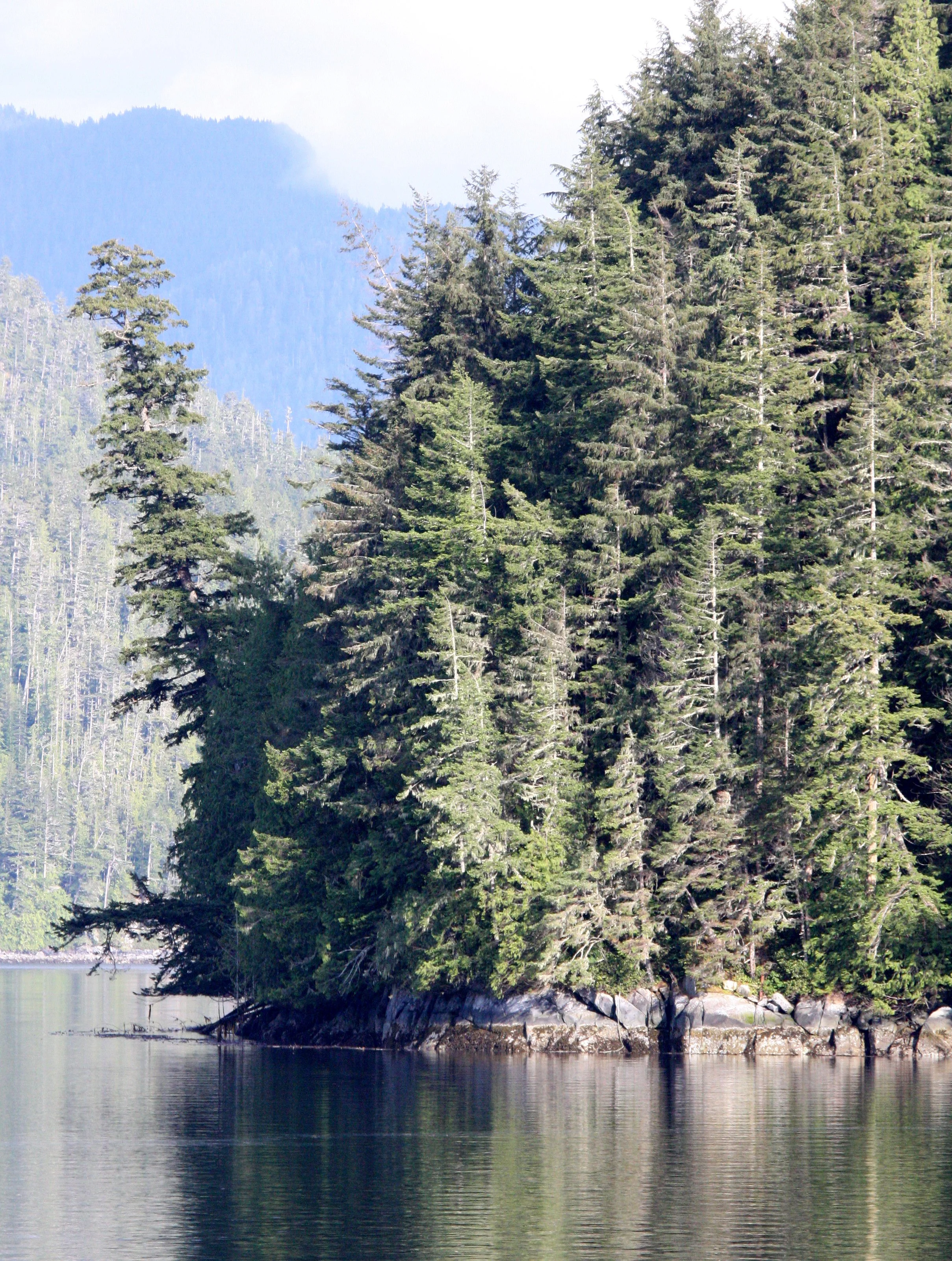 KNIGHT'S INLET BRITISH COLUMBIA (35).JPG