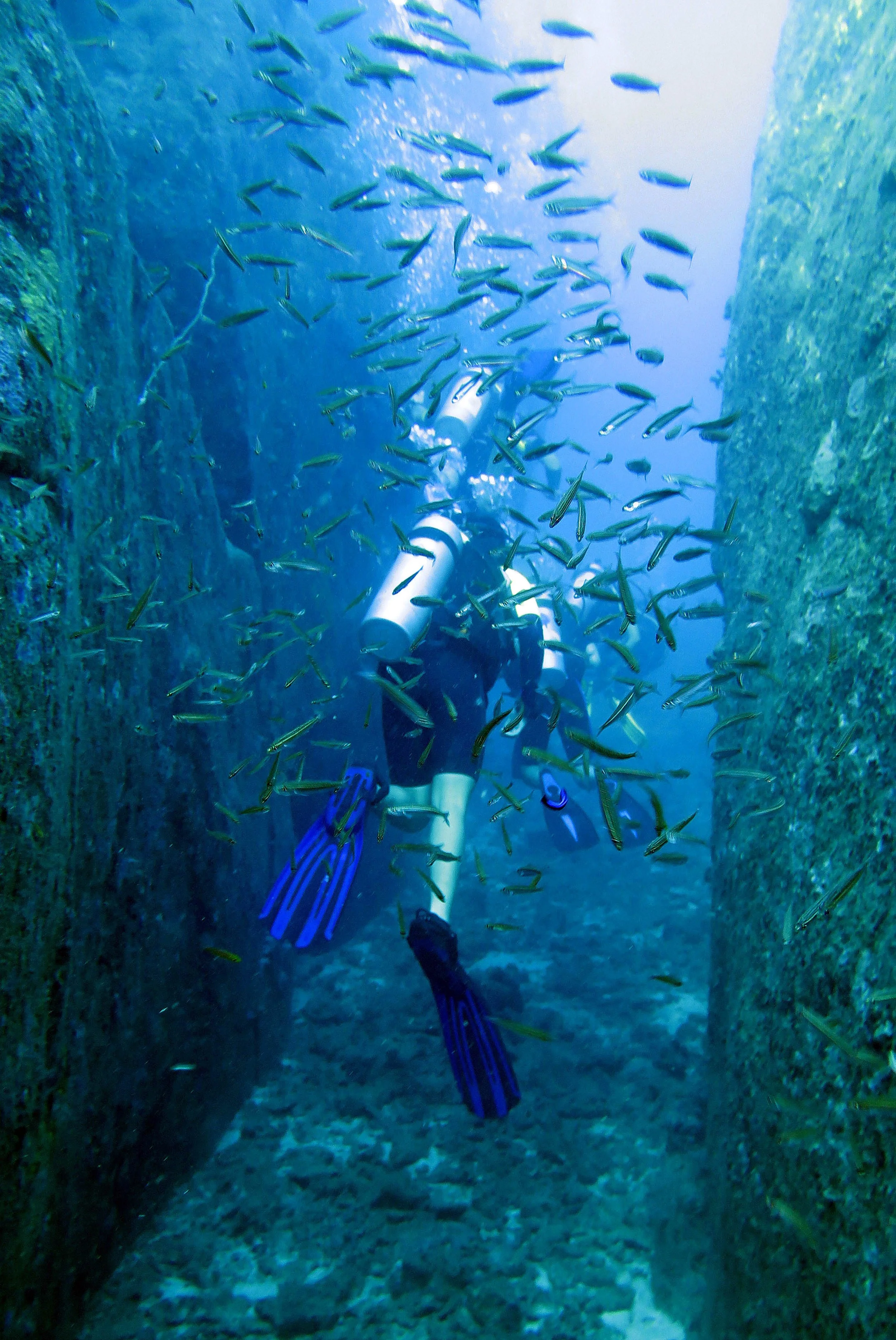 2014 Similan Islands Marine Park Thailand ISB Dive Trip (100).JPG