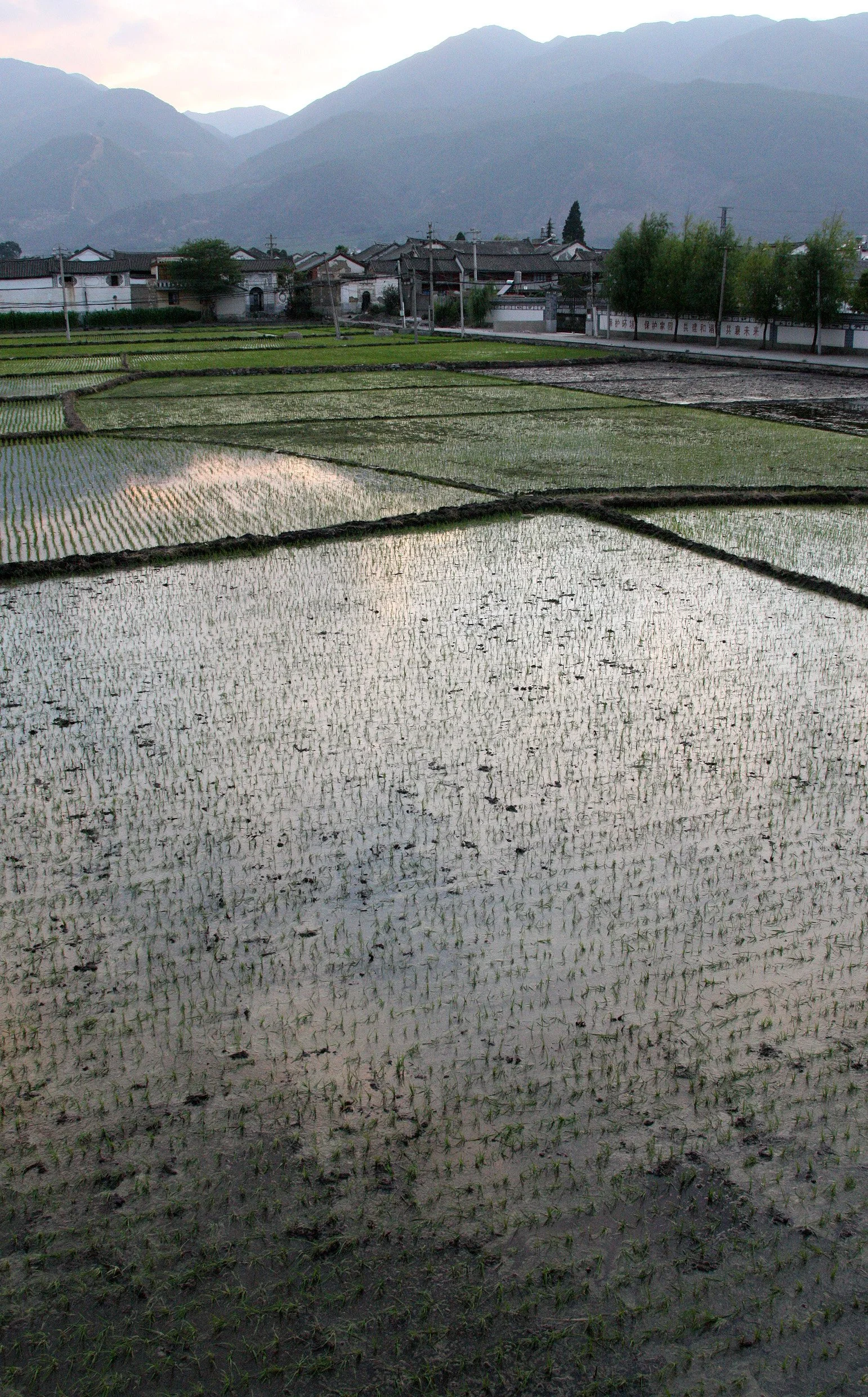 LINDEN CENTER - XIZHOU VILLAGE YUNNAN CHINA (44).JPG