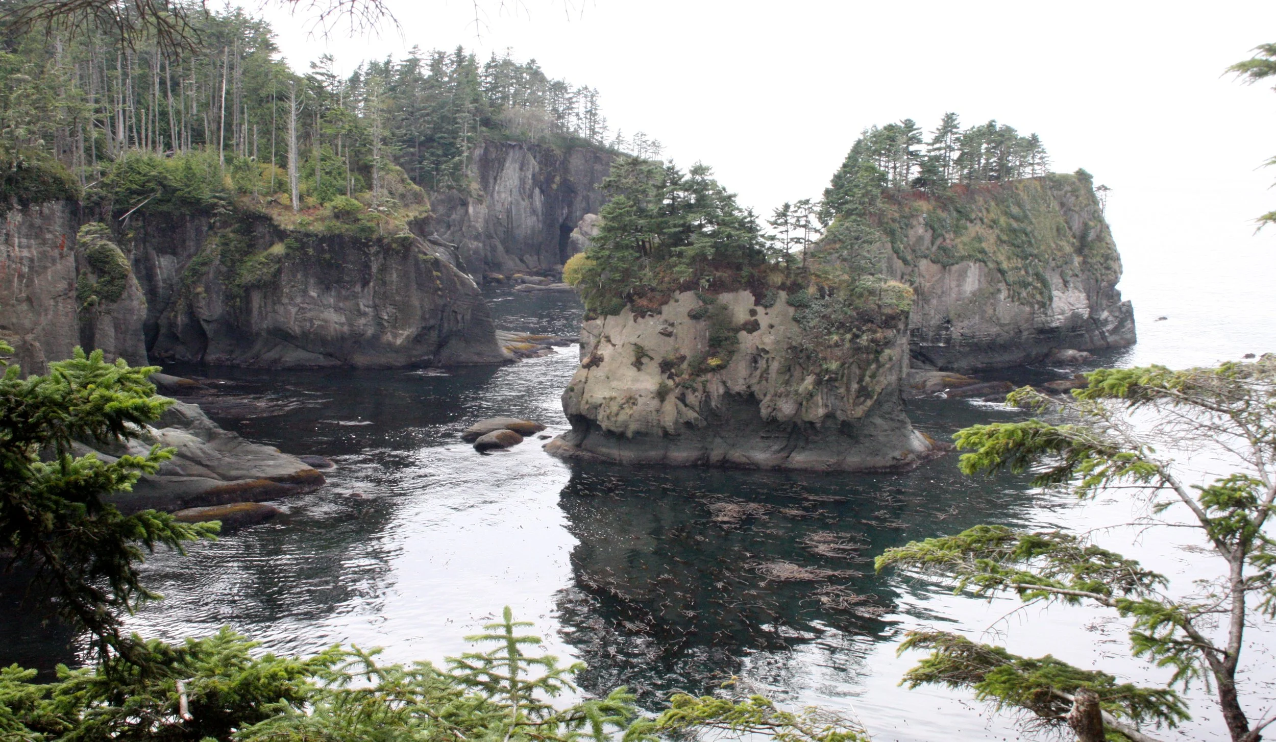 CAPE FLATTERY - TRAIL TO CAPE (5).JPG