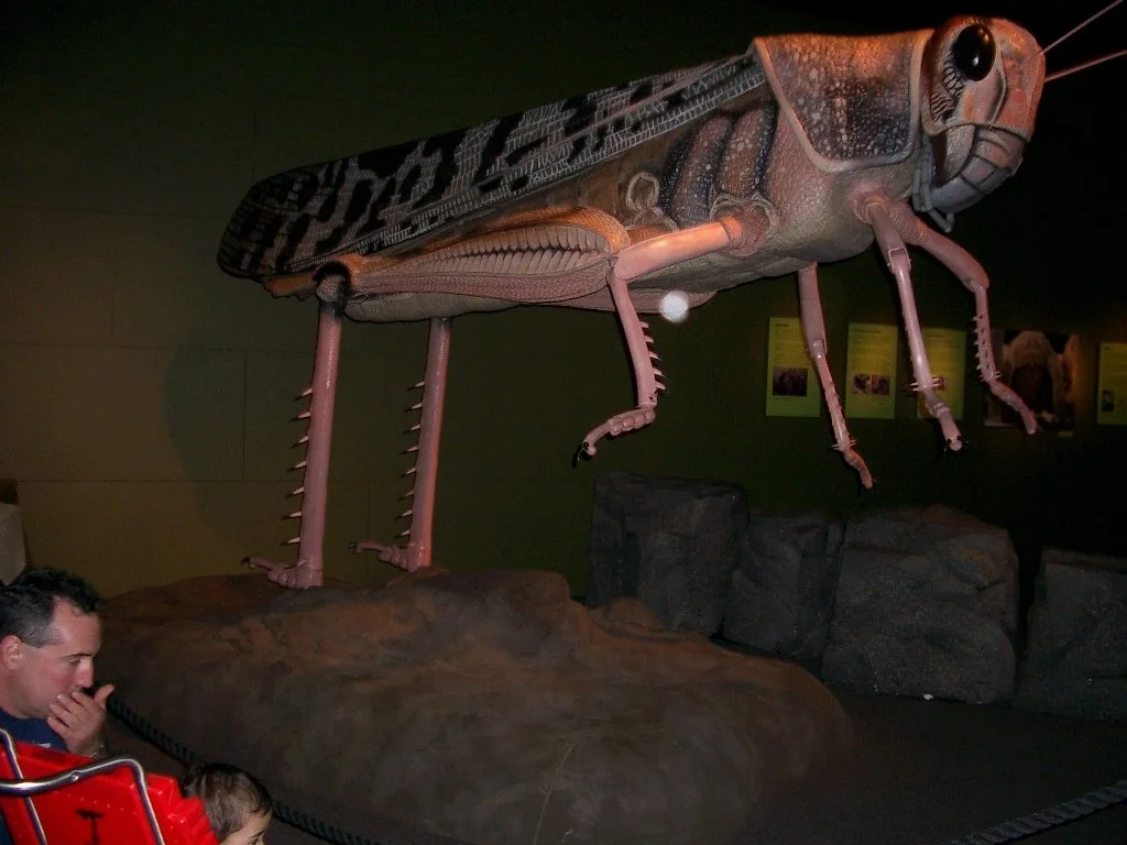 2003-11-28 DAY TRIP TO VICTORIA BC (6).JPG