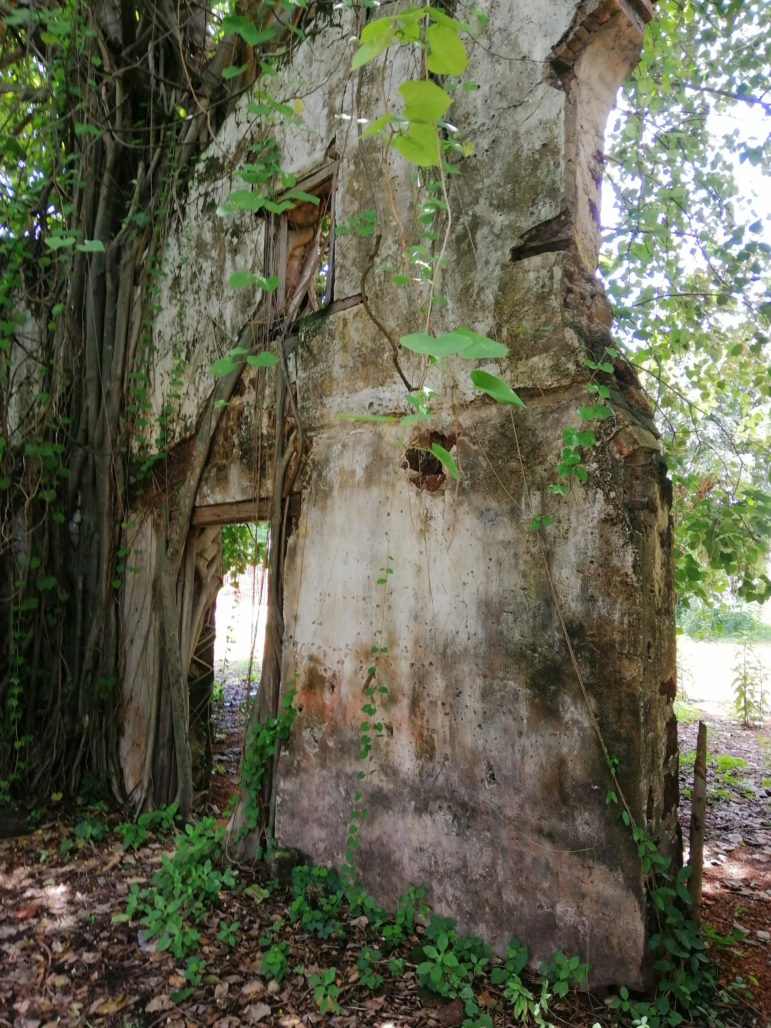 2019 Sakhon Nakhon Sakhon Nakhon Tha Rae Village Old Town Summer Road Trip (46).jpg