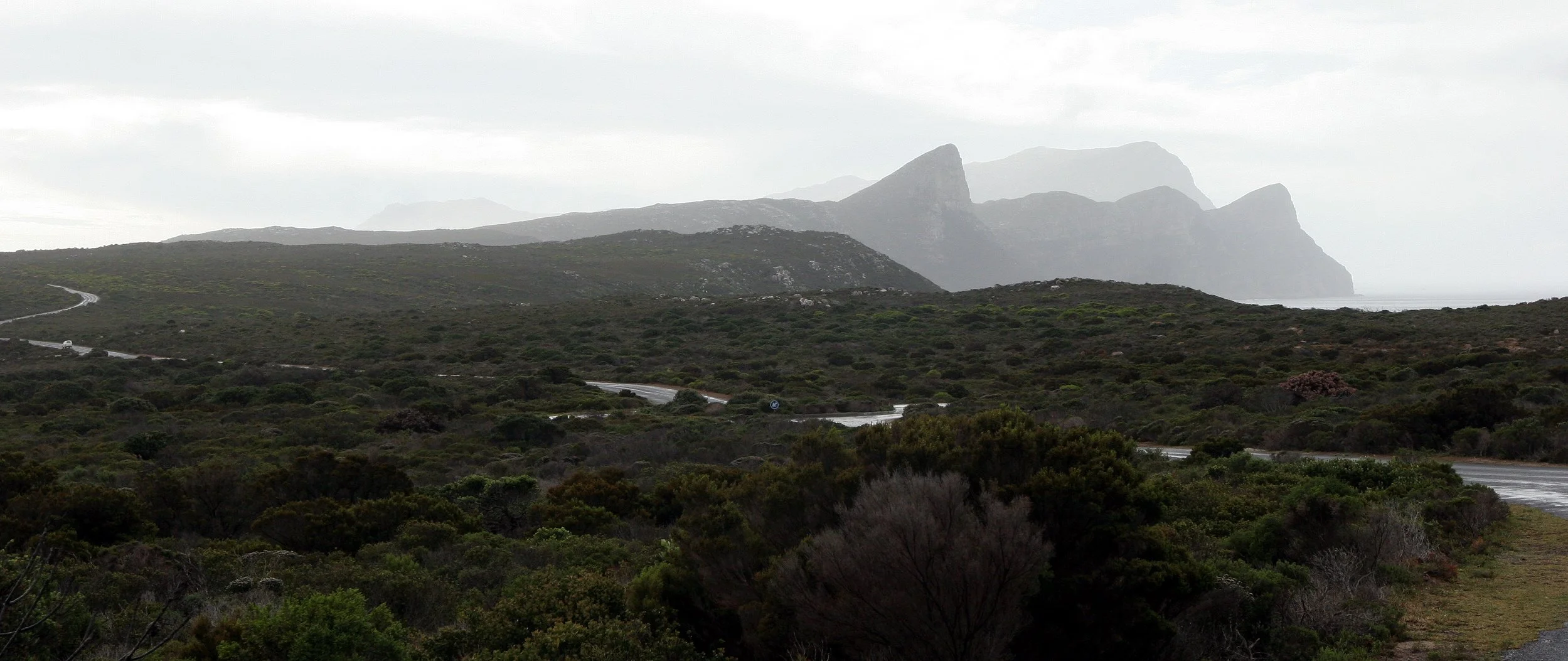 TABLE MOUNTAIN NATIONAL PARK - COASTAL FYNBO PLANT COMMUNITY (3).JPG