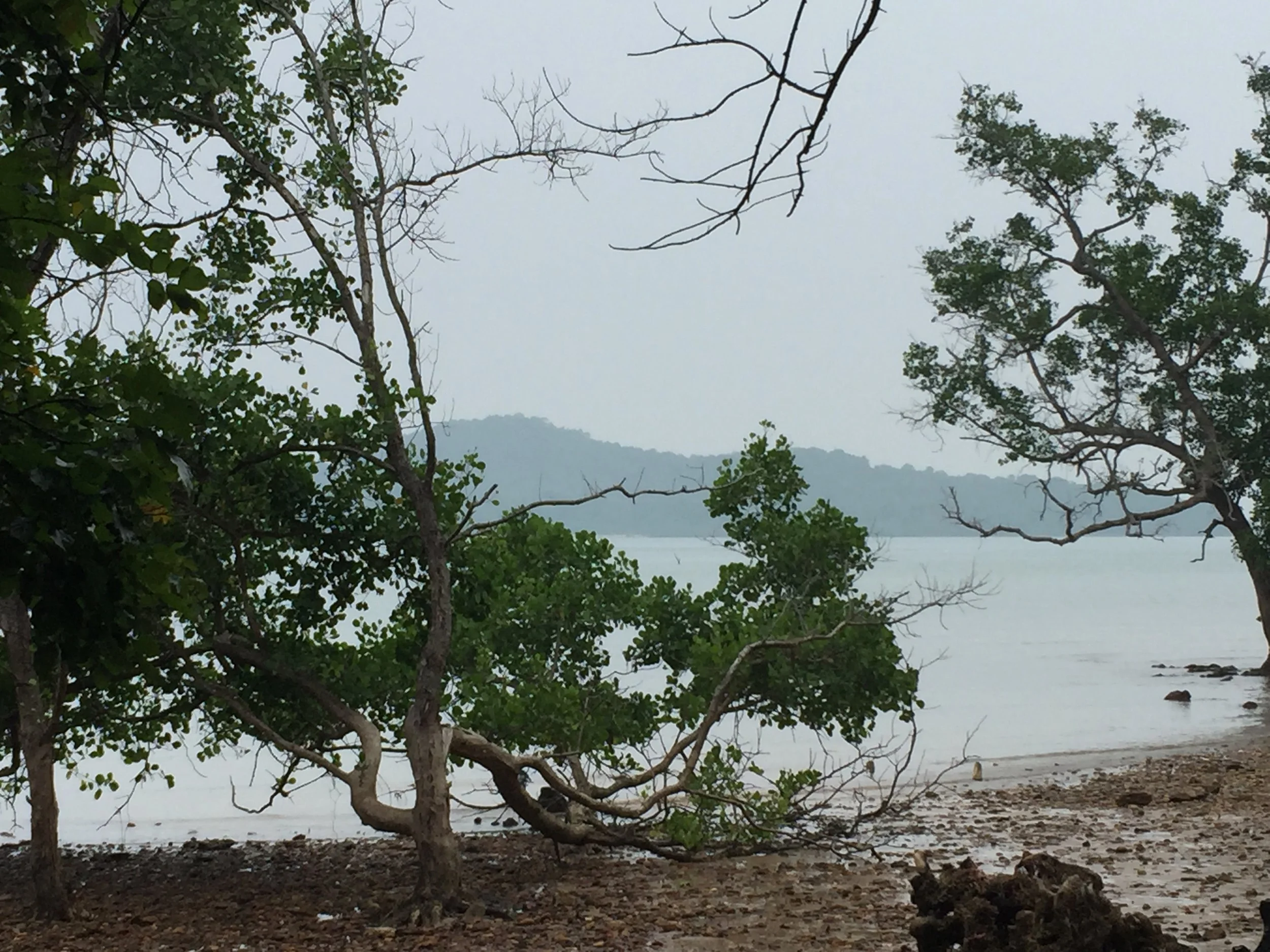 2015 Koh Lanta Garden & Nature (268).JPG