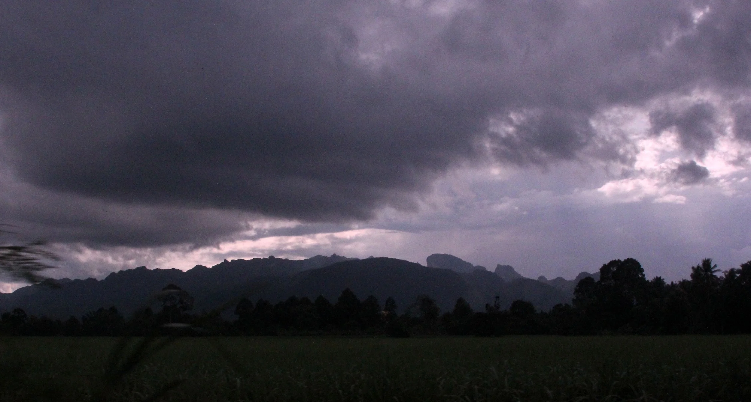 2017 Phu Khieo Wildlife Sanctuary  (2).JPG