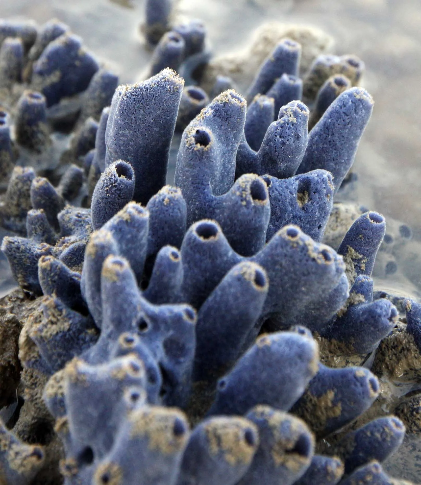 2015 Koh Lanta Songkran with friends from ISB (252).JPG