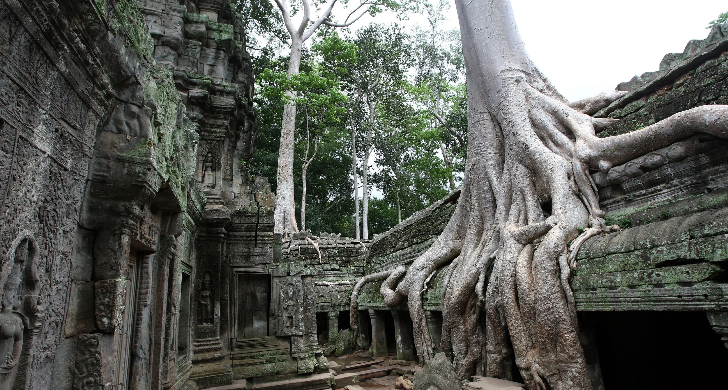 TA PROHM TEMPLE CAMBODIA - JULY 2010 (27).JPG