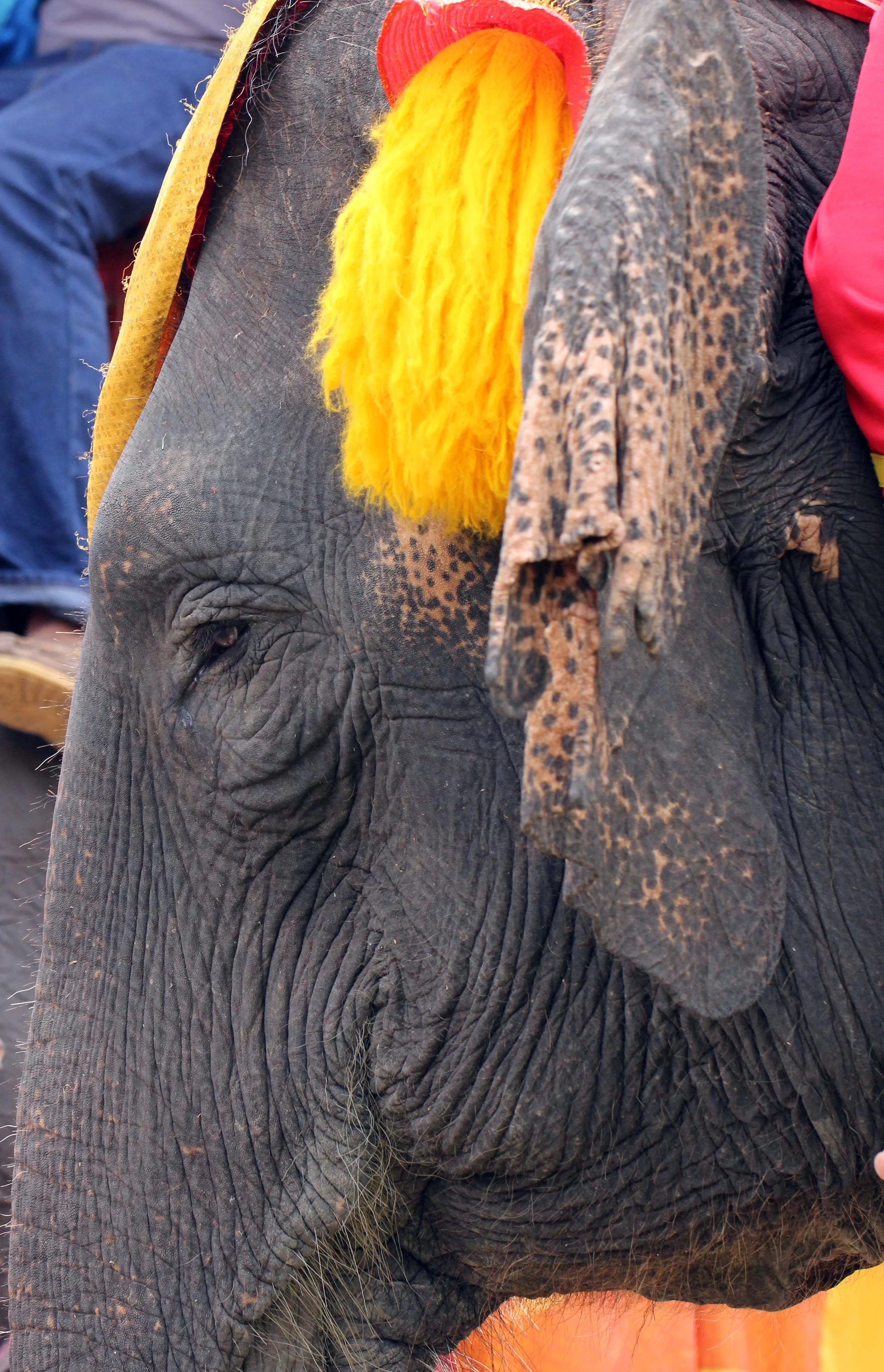 2013 Ayutthaya ISB Passion Day (31).JPG