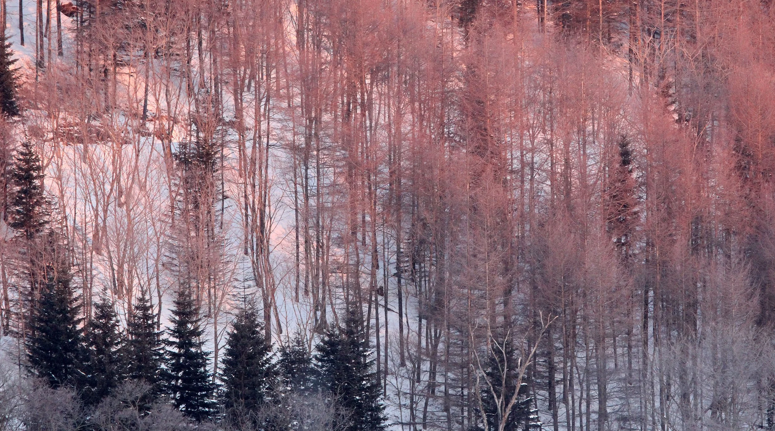 OTOWABASHI SETSUGAWA - TSURUI TOWN - HOKKAIDO JAPAN (7).JPG