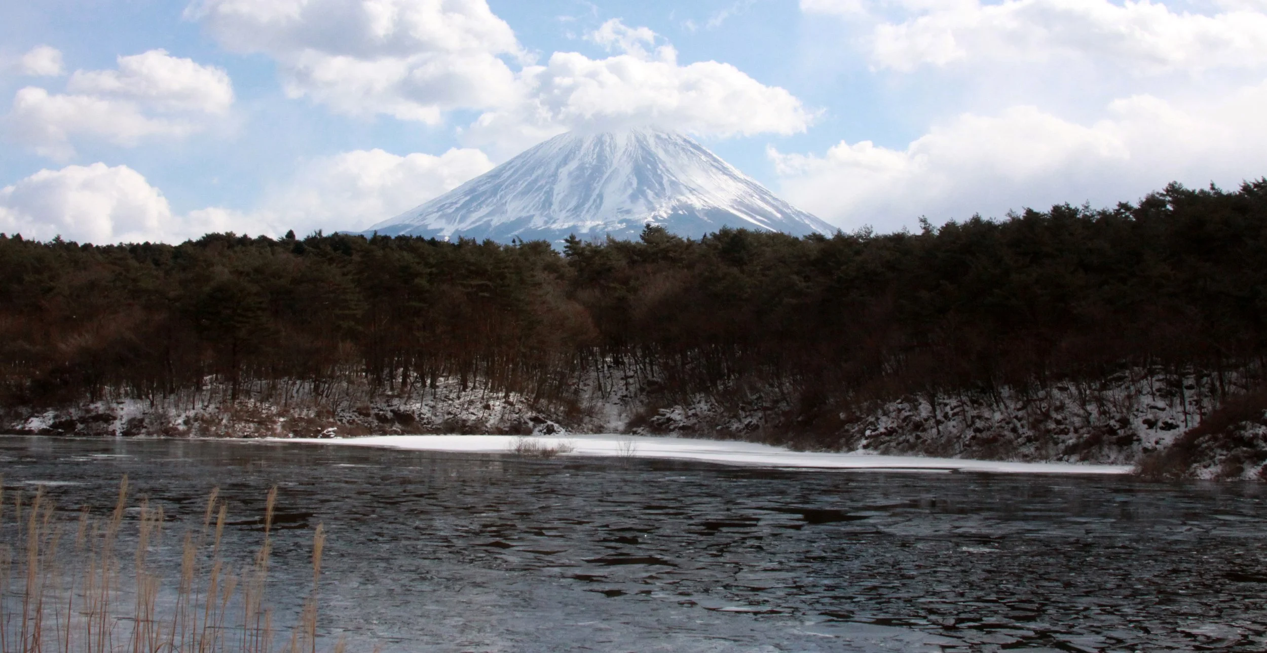 MOUNT FUJI - AS SEEN FROM LAKE SHOJI JAPAN (38).JPG