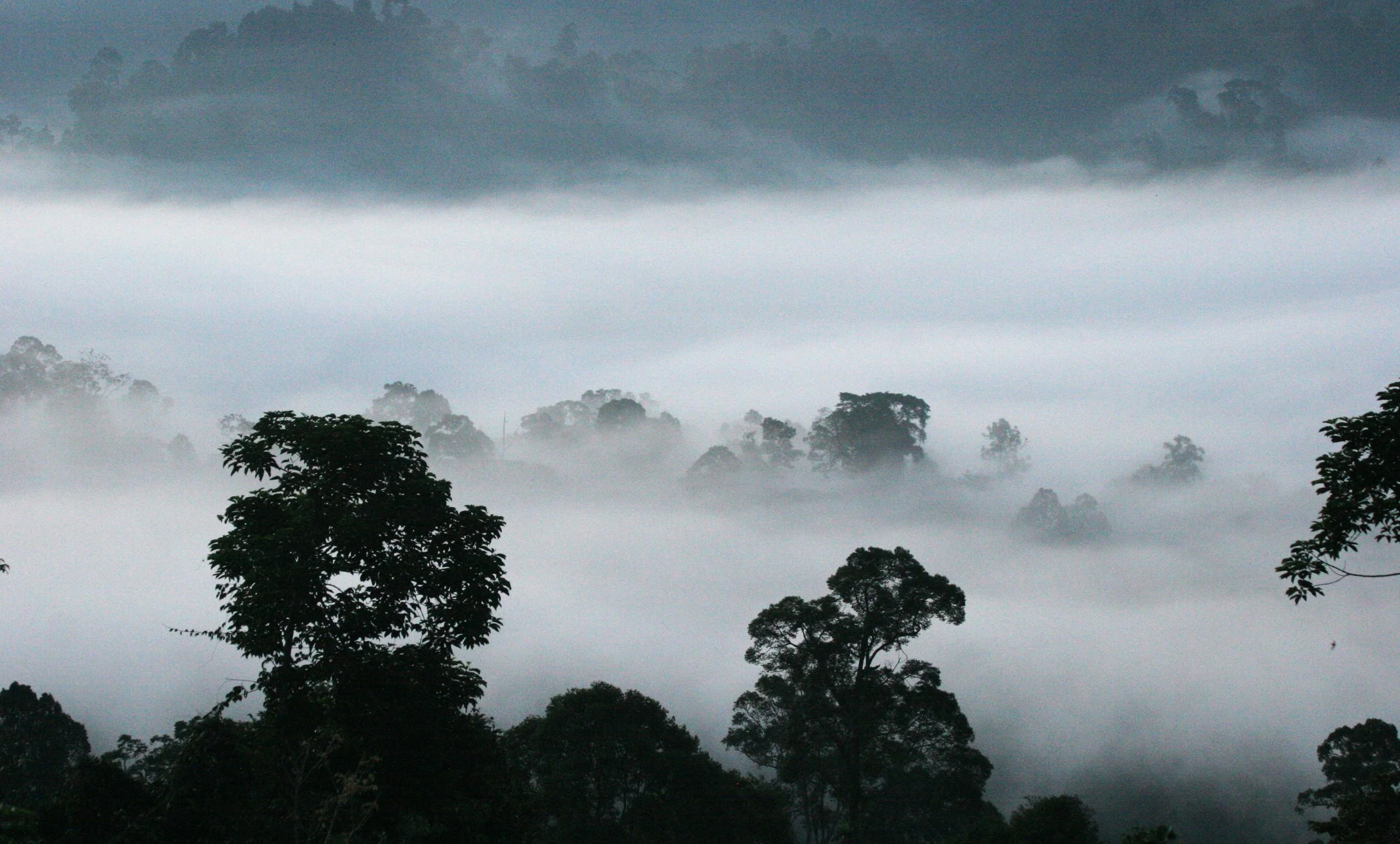 DANUM VALLEY BORNEO - SUNRISE OVER THE DANUM (23).JPG