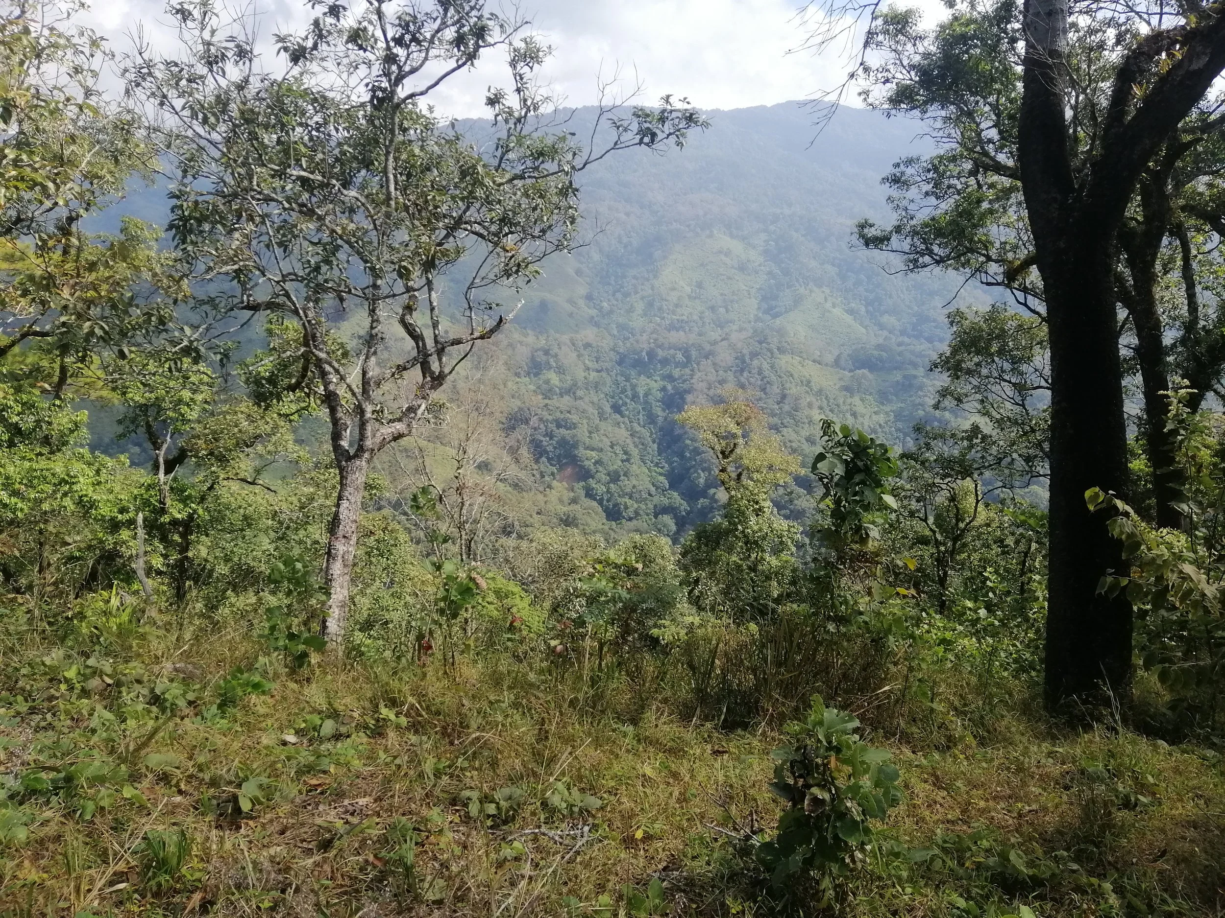 2021 Doi Lang West Winter Birding Trip with Jan and Ben and Crew (8).jpg