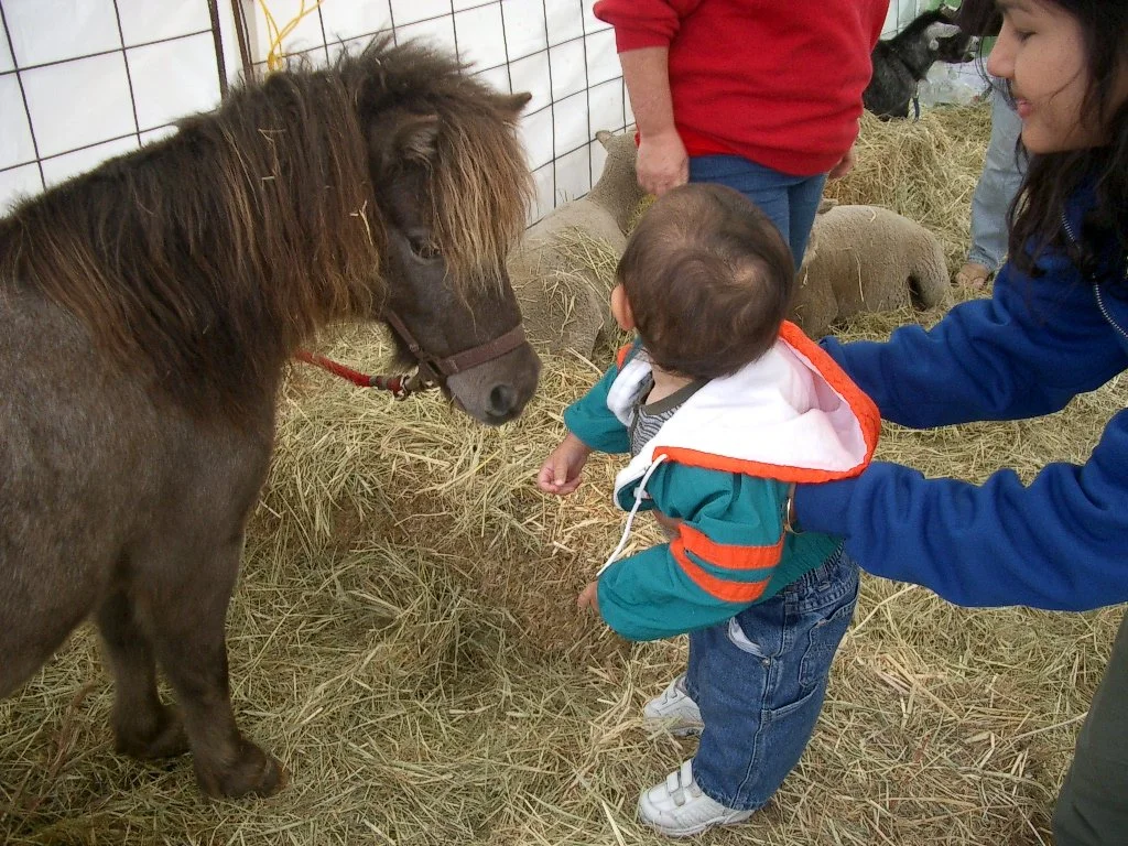 2003-10-12 CRAB FEST CRITTERS (10).JPG