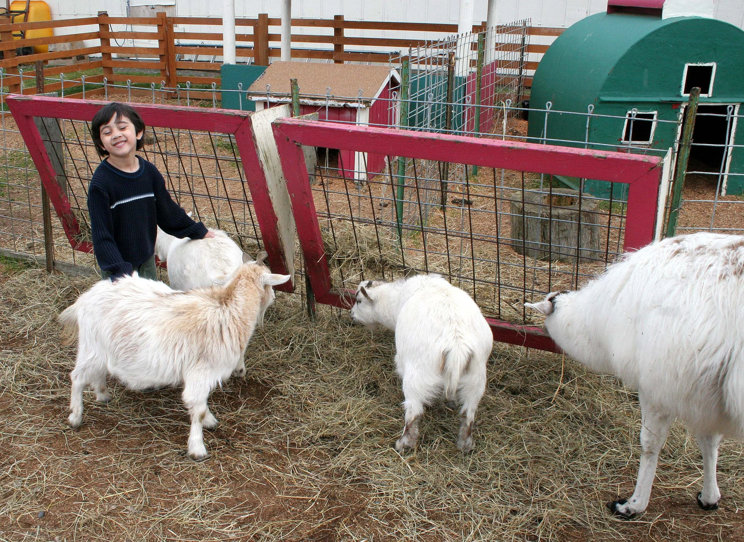 2008-4-12 DUNGENESS GAME FARM WITH COKIE (4).jpg