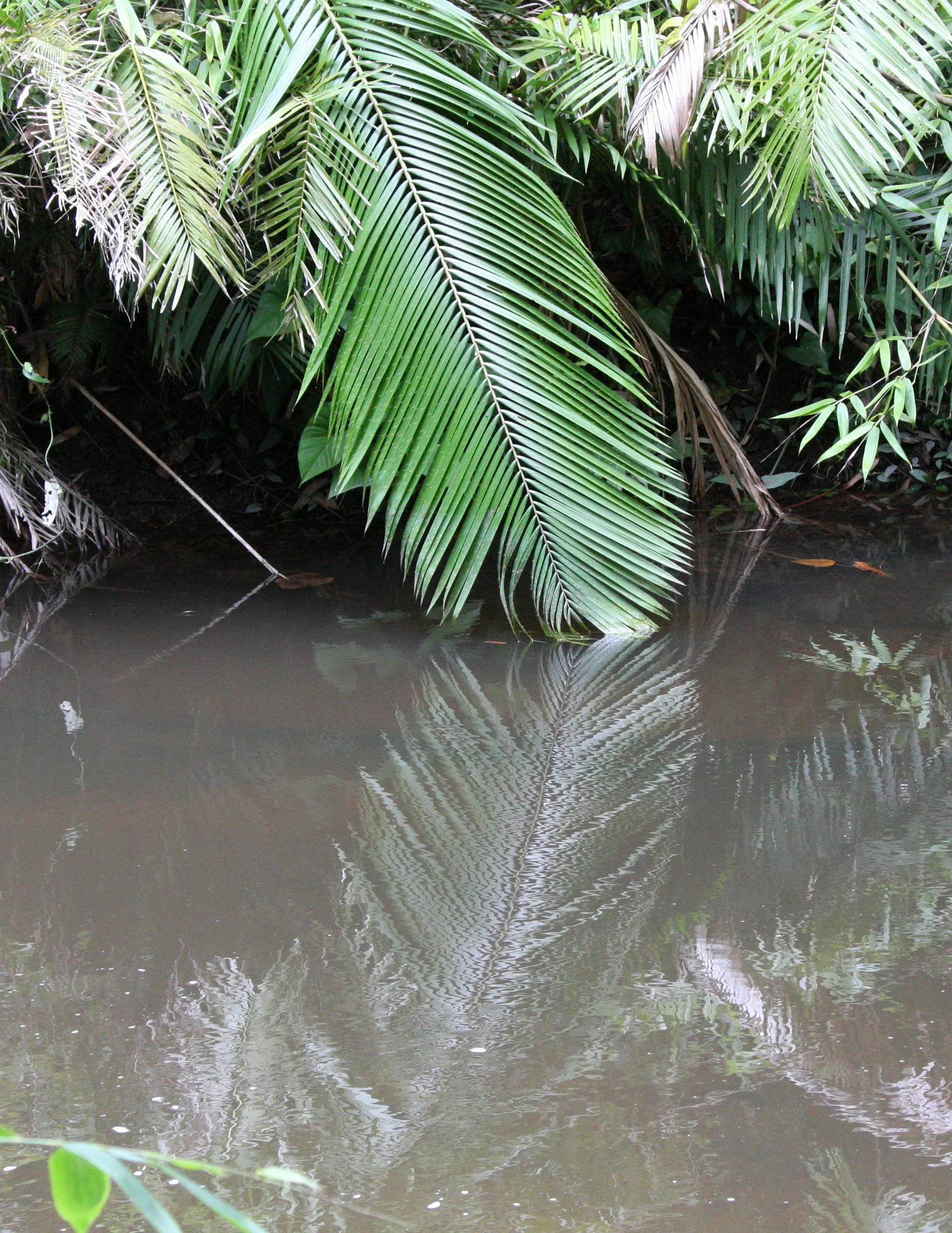 KULEN MOUNTAIN CAMBODIA - 1000 LINGHA RIVER (18).JPG