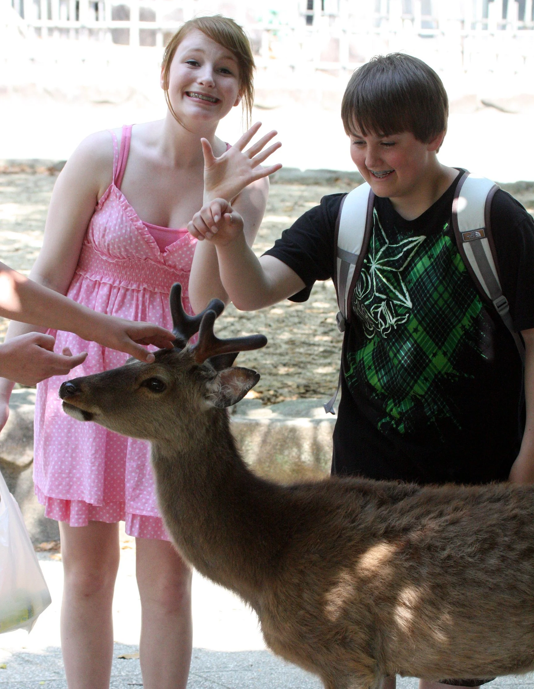 MIYAJIMA - MAY 2009 - SCENES AND LANDSCAPES (53).JPG