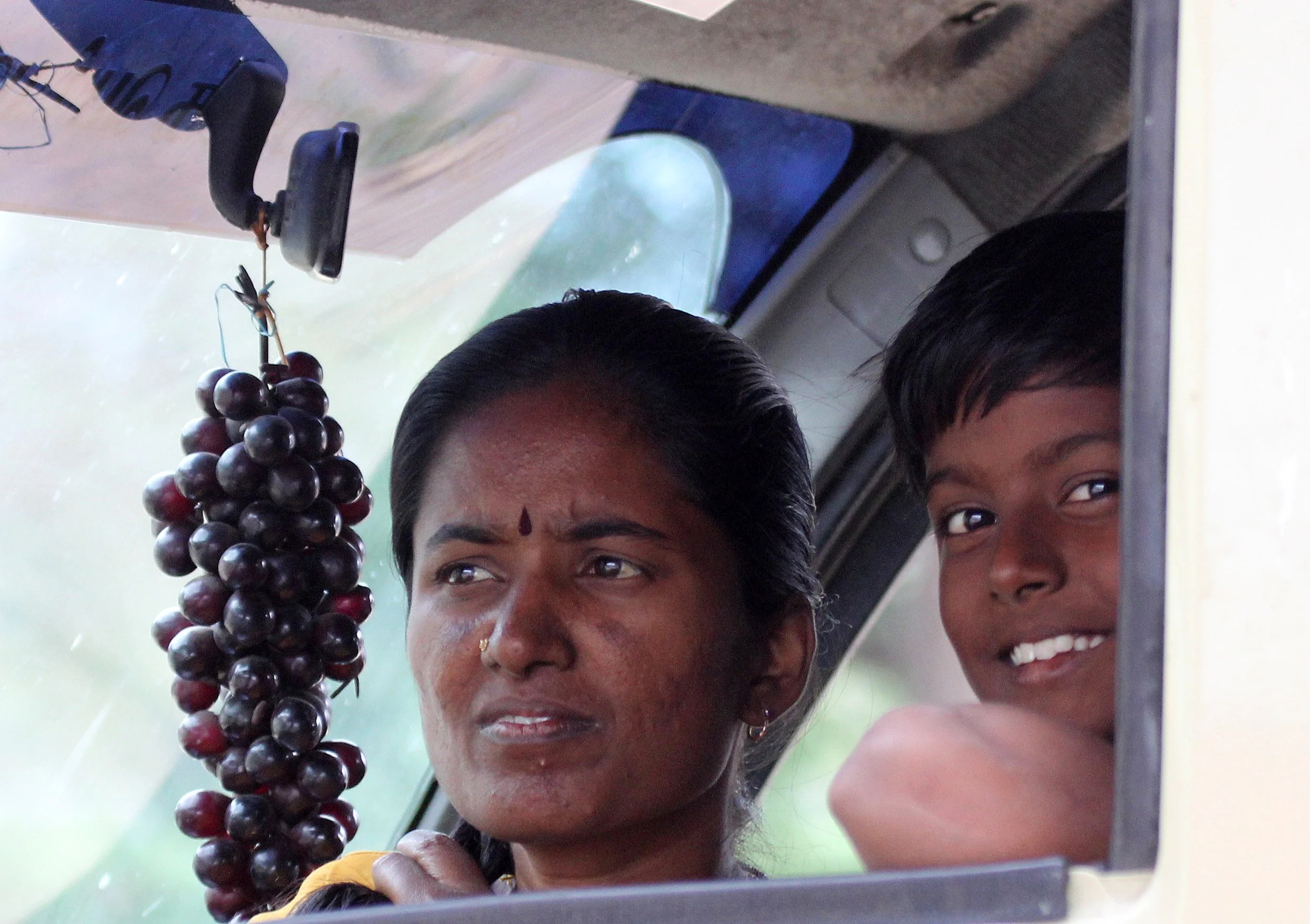CHINNAR NATIONAL PARK TAMIL NADU INDIA (4).JPG