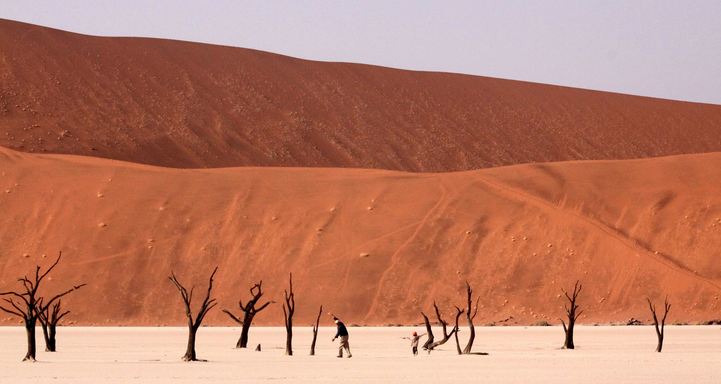 SOSSUSVLEI, NAMIB NAUKLUFT NATIONAL PARK, NAMIBIA - DEAD VLEI (42).JPG
