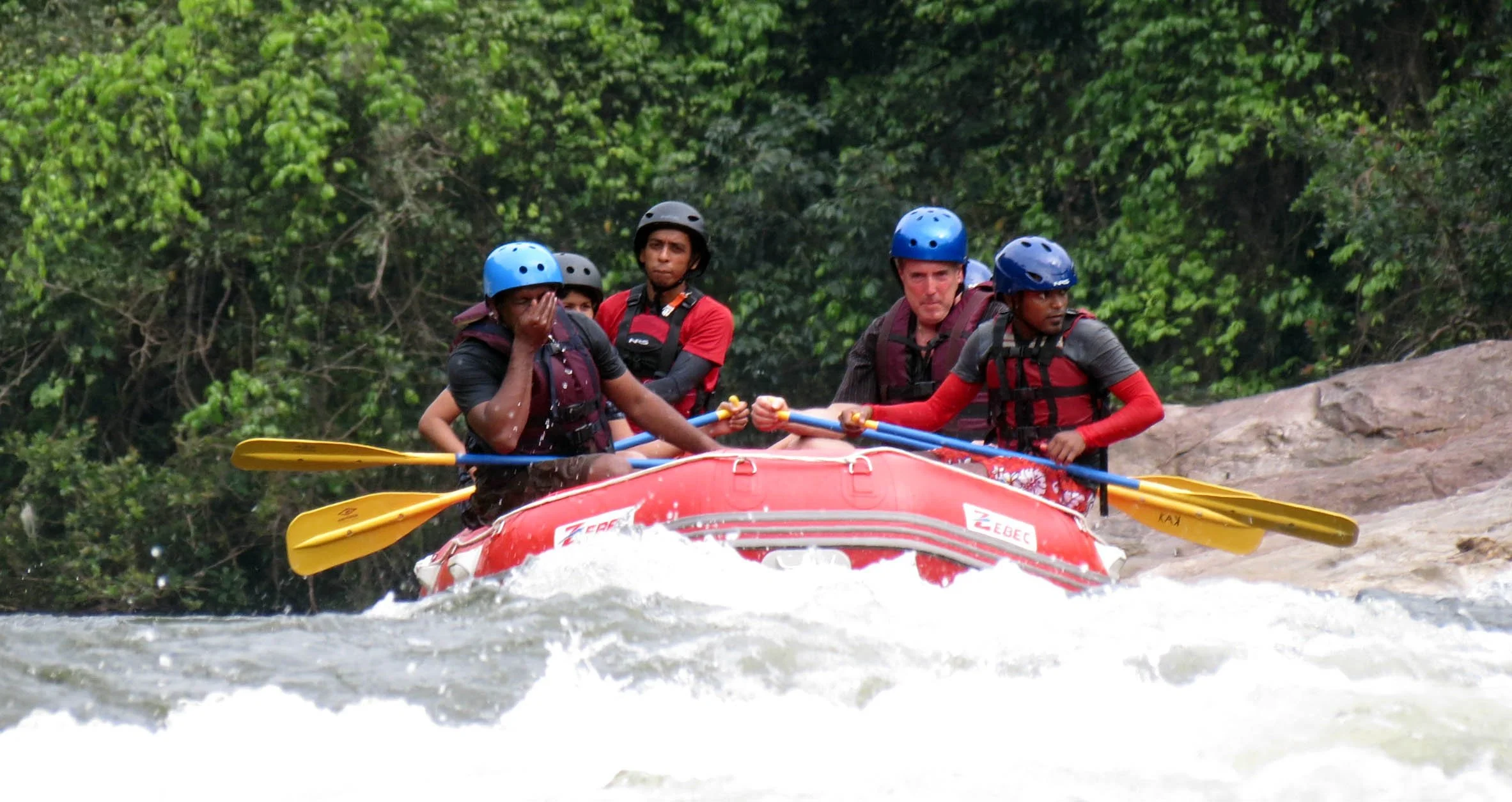 KITULGALA FOREST PRESERVE SRI LANKA (75).JPG