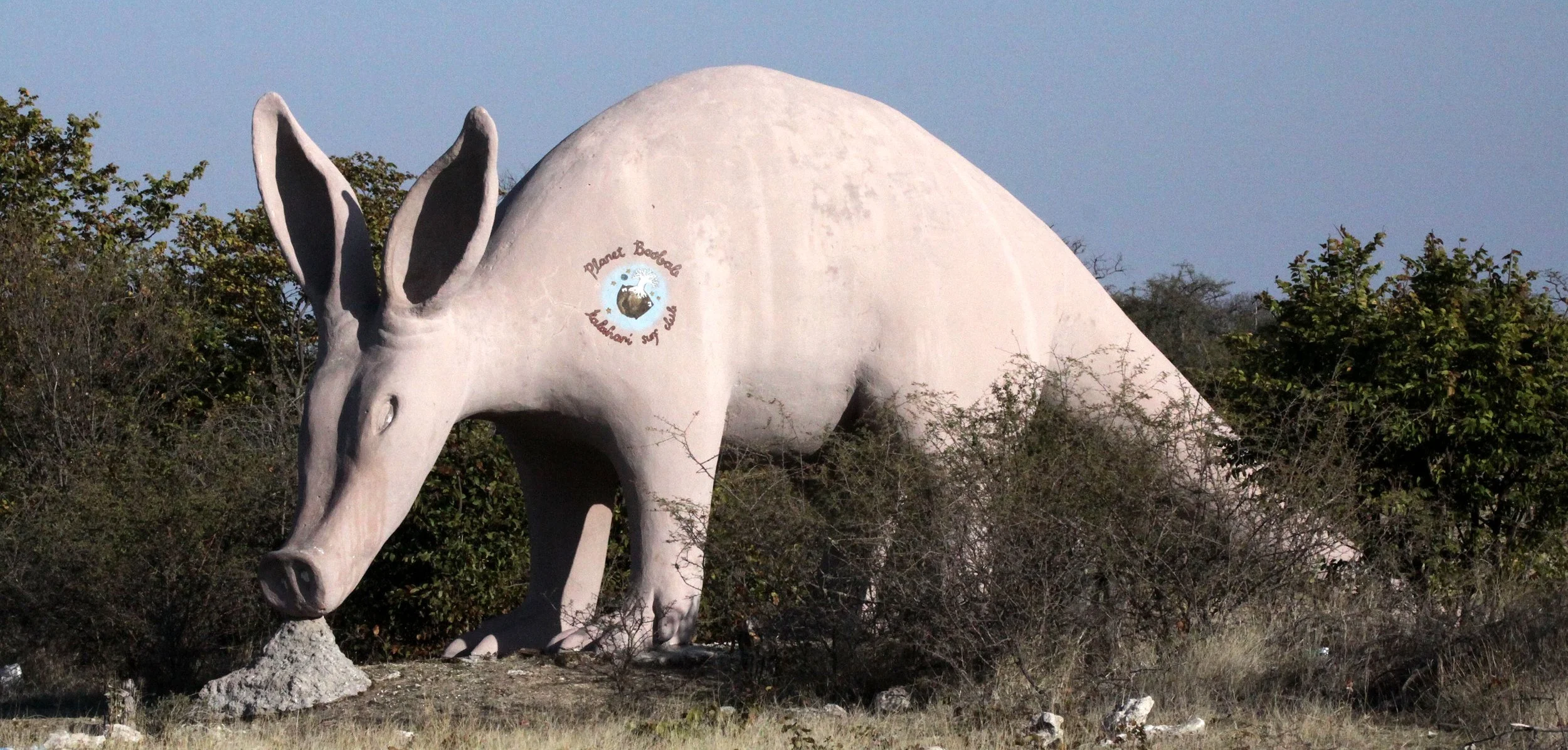 Mgadigadi Salt Pans, Botswana