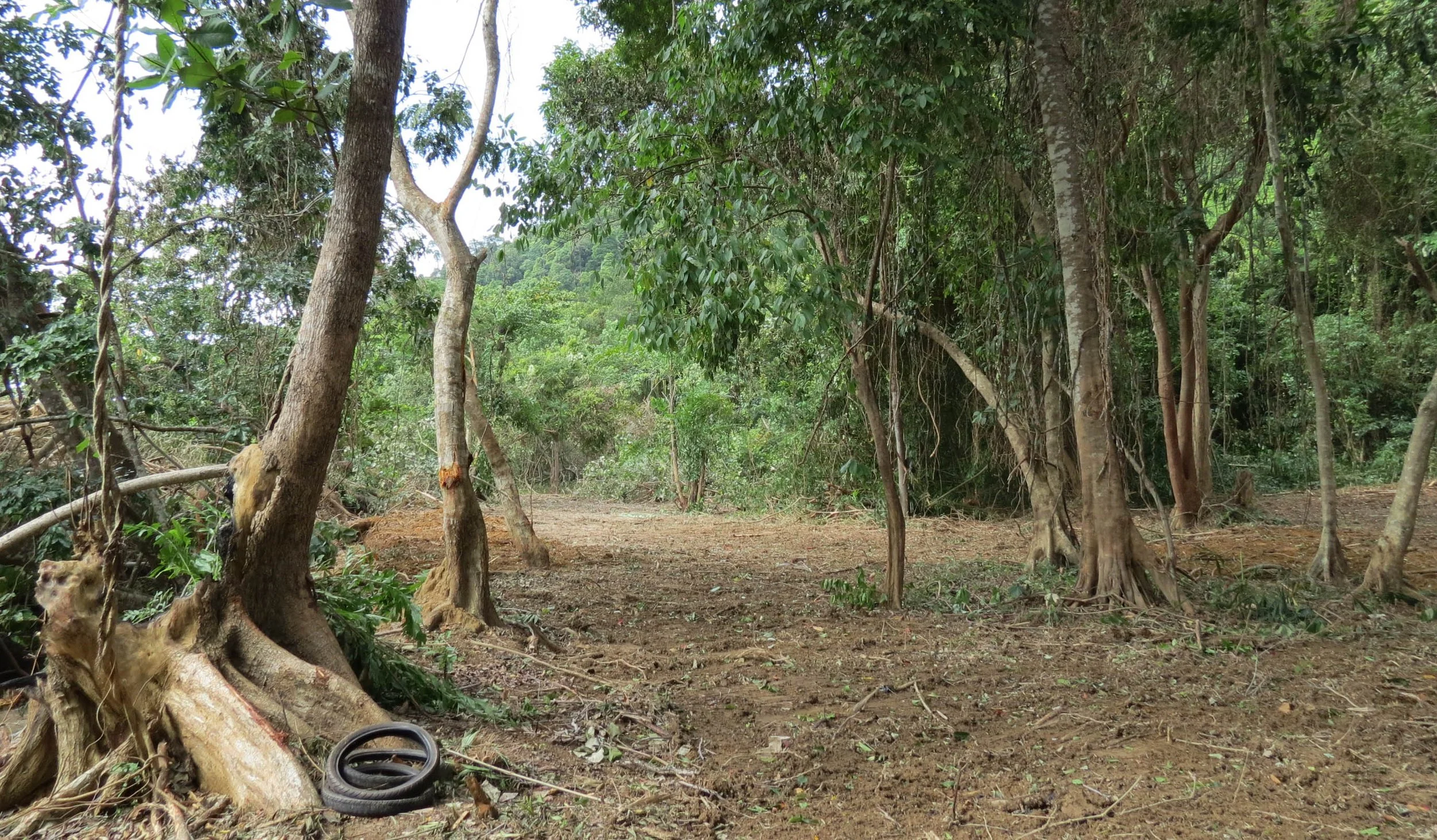 2014 Koh Lanta Build (35).JPG