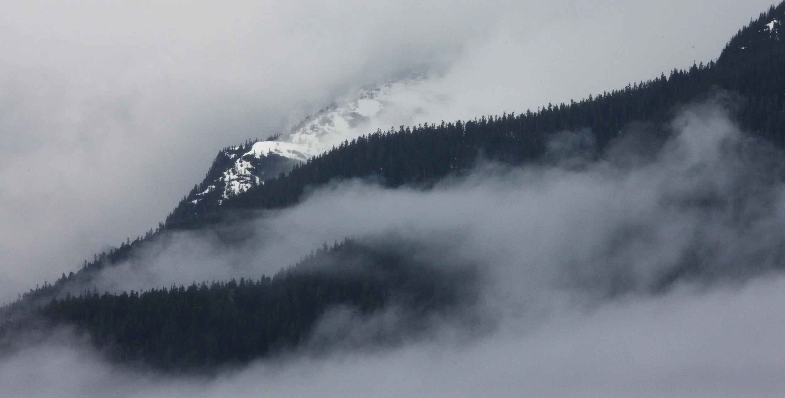 KNIGHT'S INLET BRITISH COLUMBIA (7).JPG