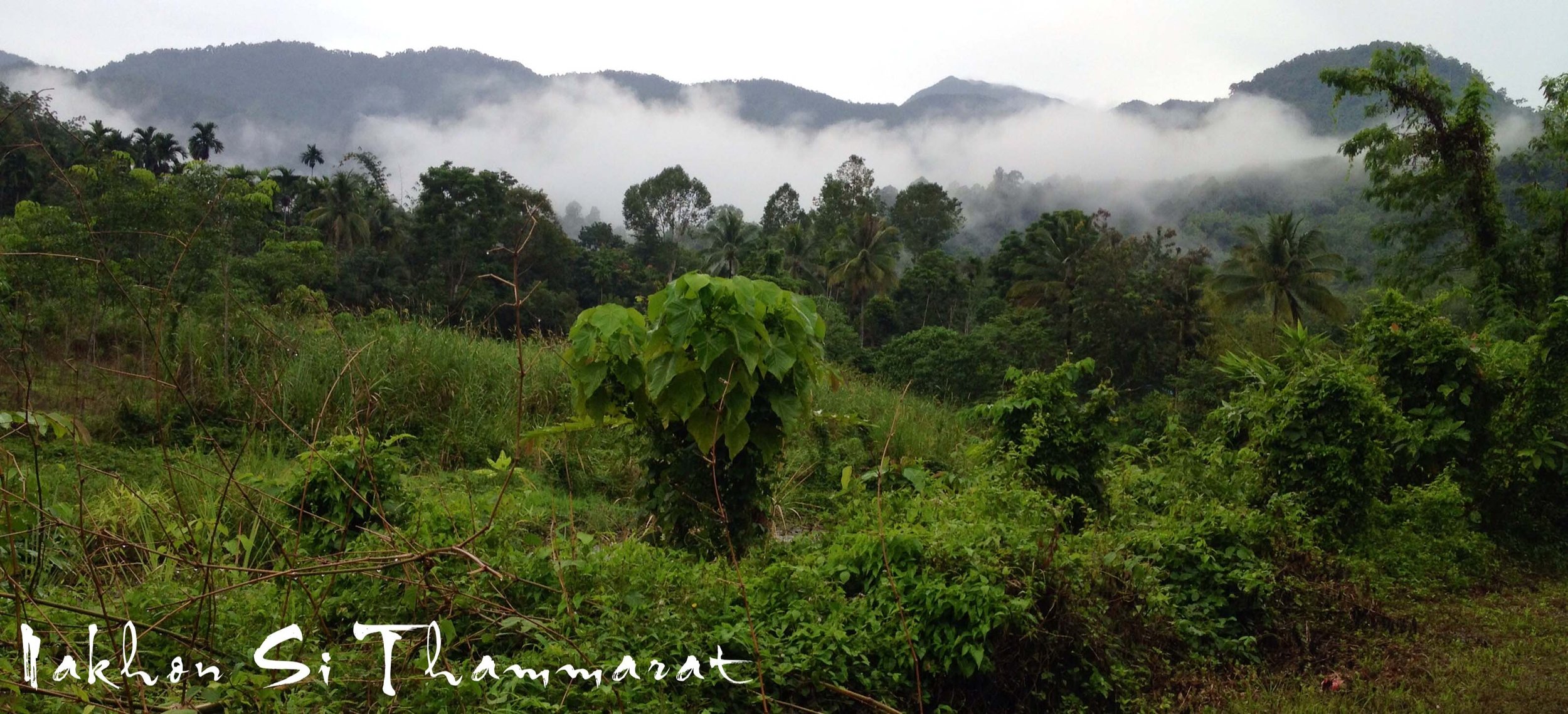 2013 in Nakhonsithammarat and some Krabi with Family (265).JPG