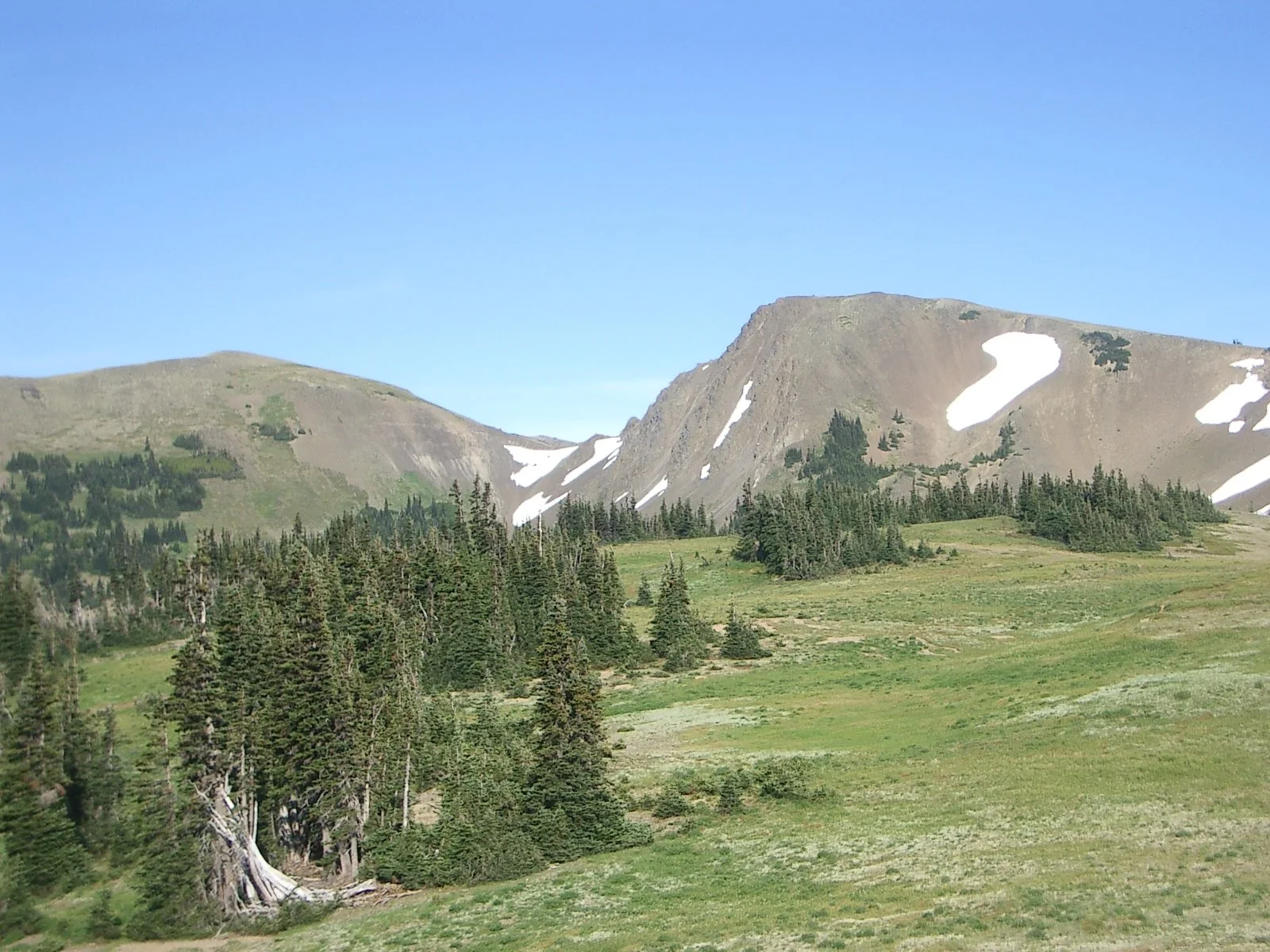 2003-7-31 FAMILY REUNION IN WASHINGTON AND CANADA (107).JPG