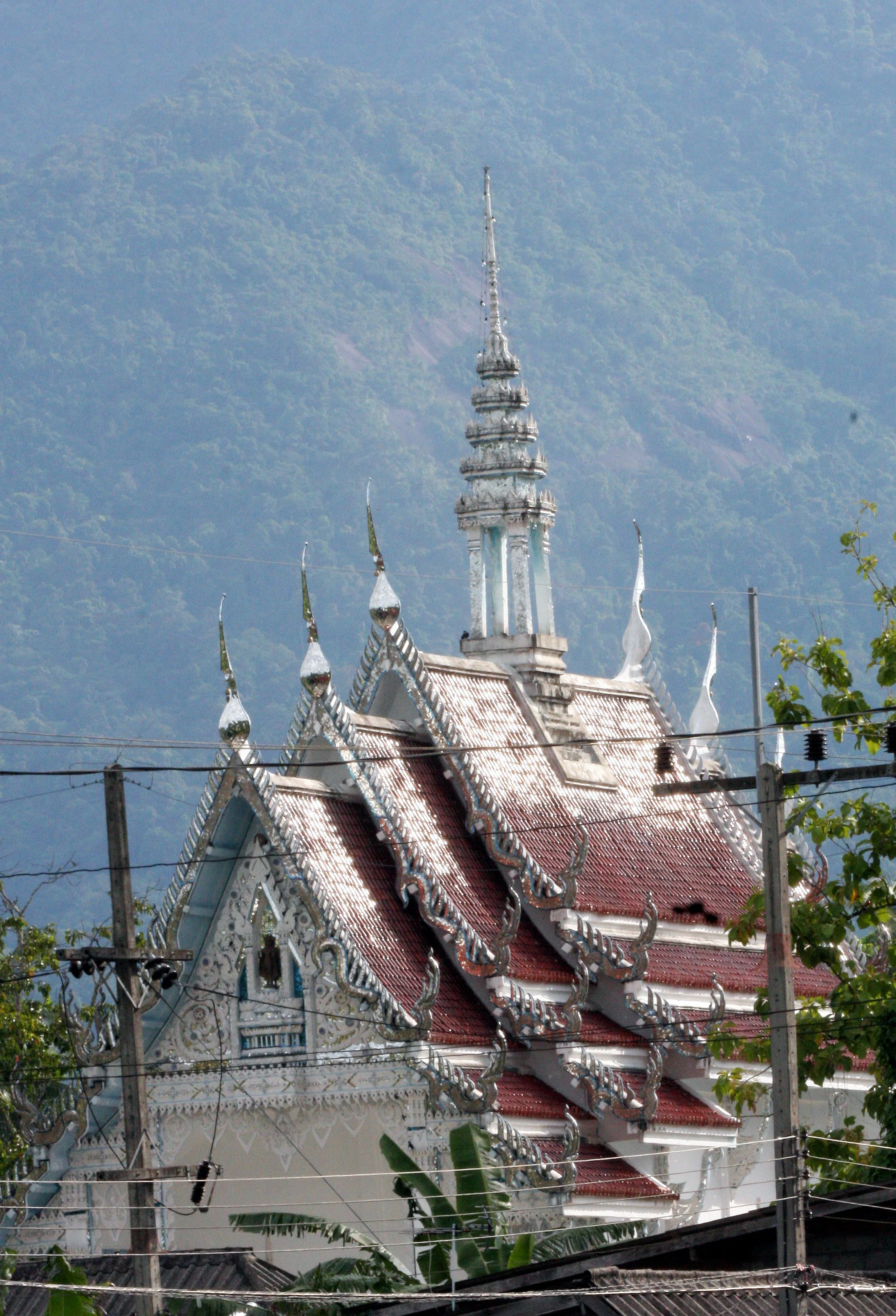 2005 Promluk Early Days (125).JPG