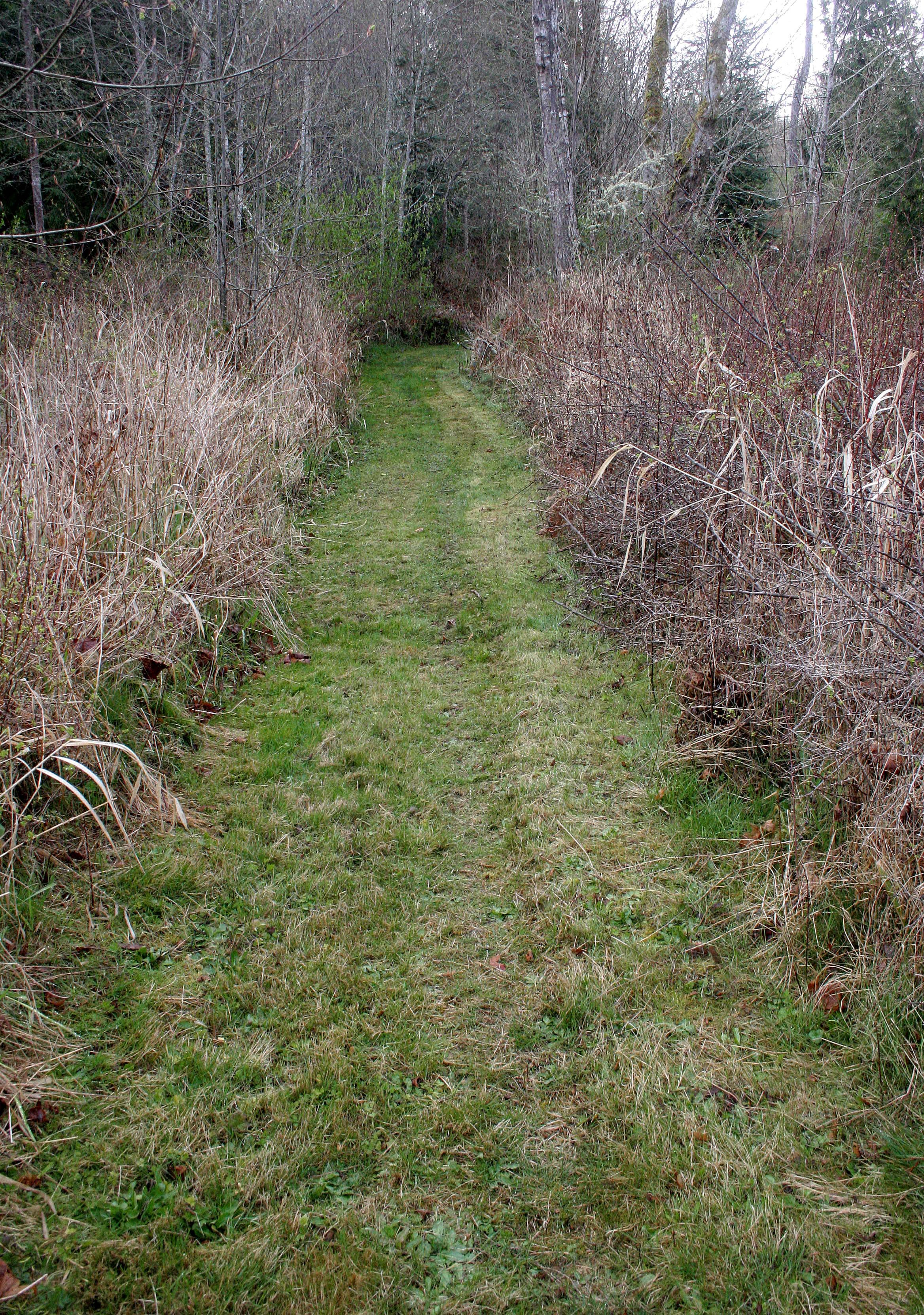 2008-4-19 LAKE FARM TRAILS WALK (24).JPG