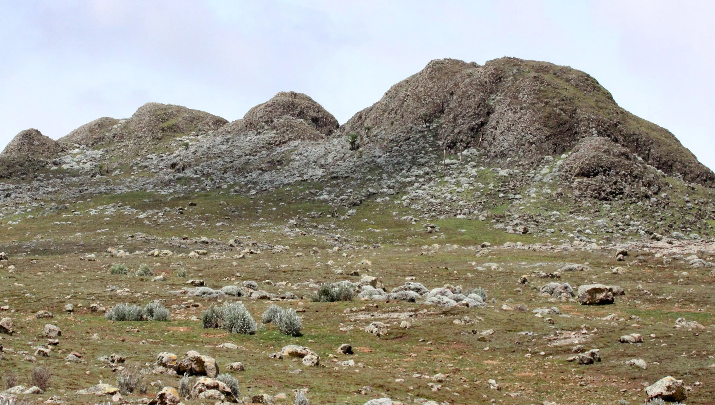 BALE MOUNTAINS NATIONAL PARK ETHIOPIA (66).JPG