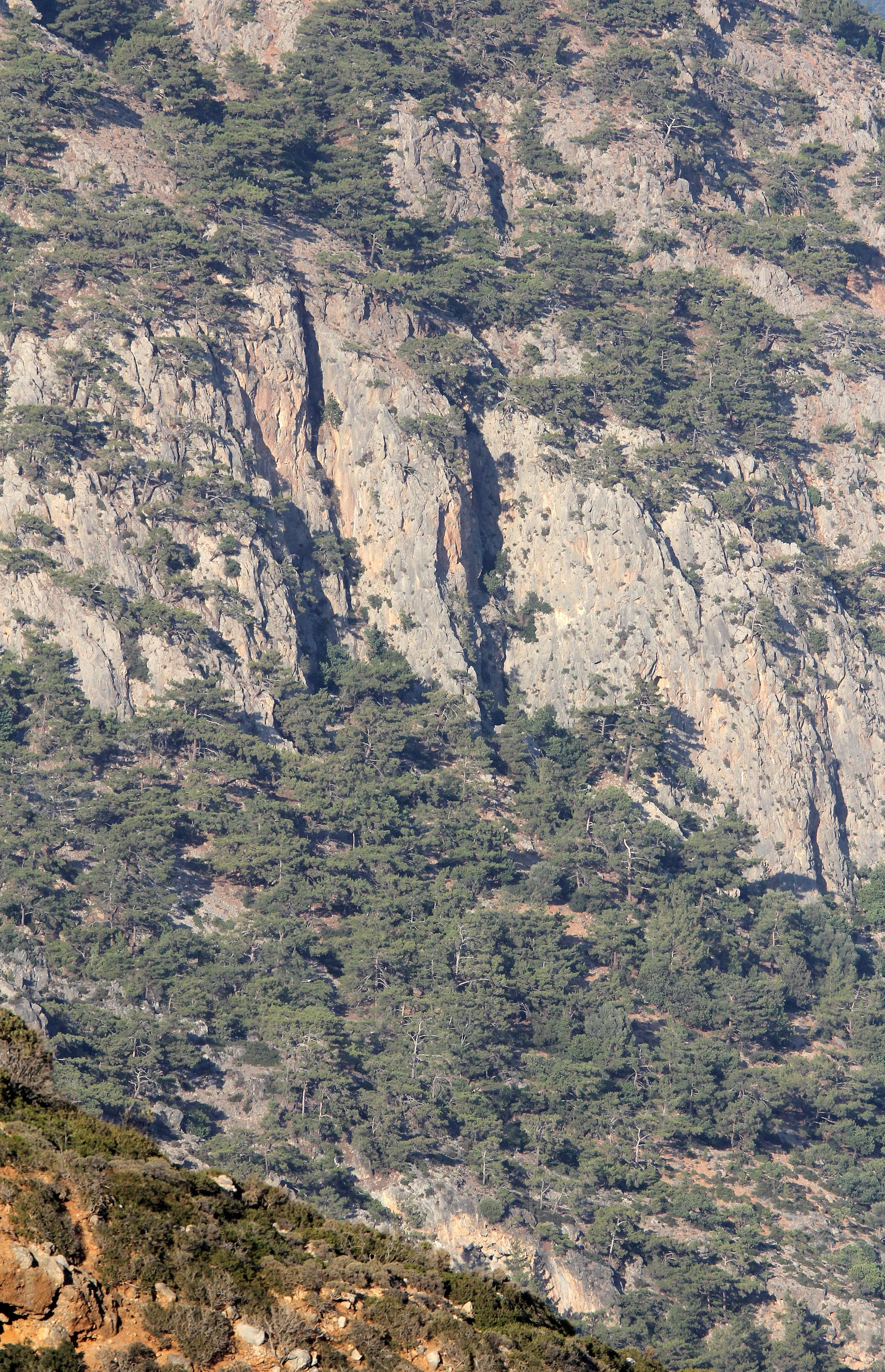 SAMARIA GORGE NATIONAL PARK CRETE GREECE (14).JPG