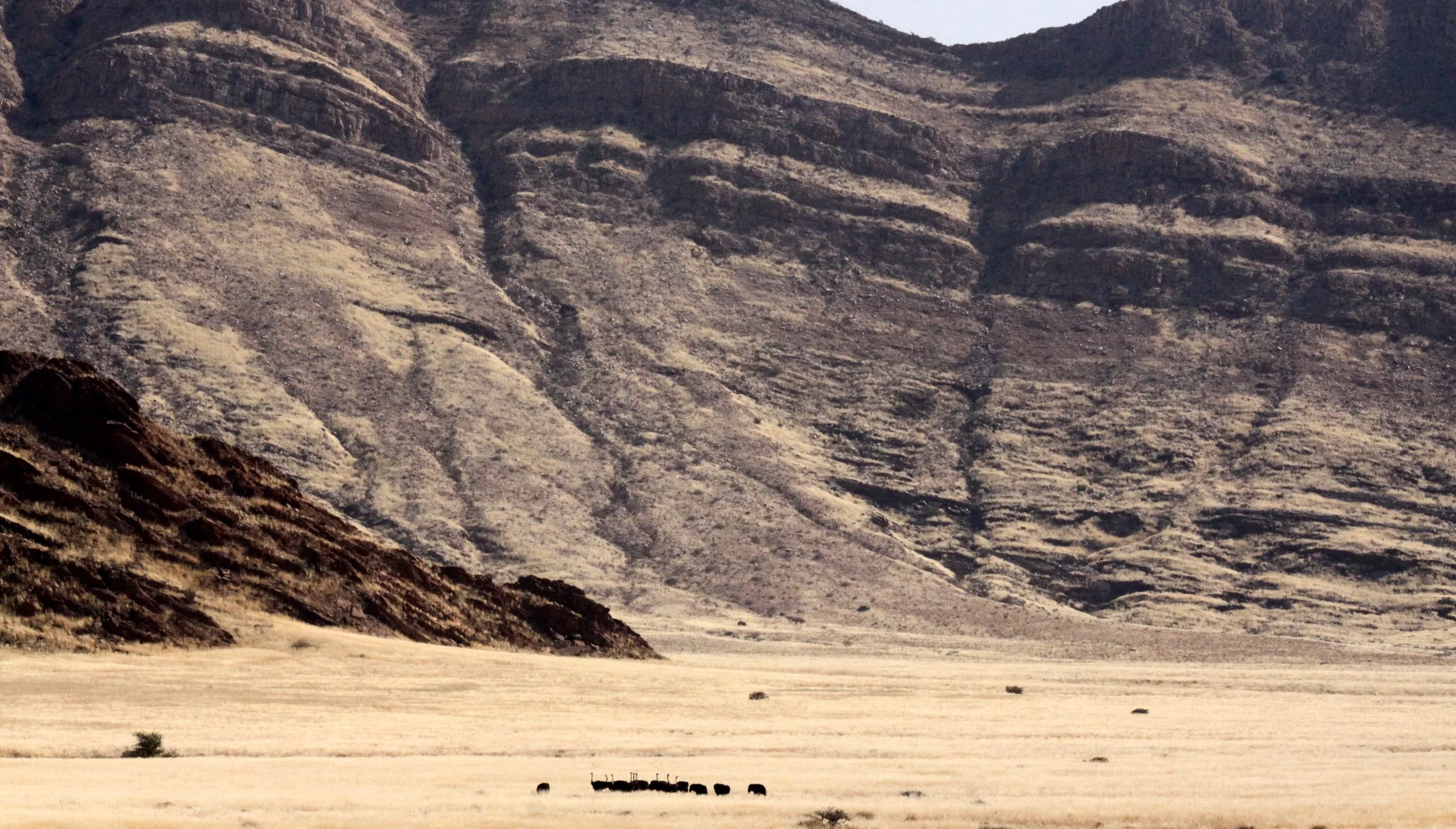 SOSSUSVLEI, NAMIB NAUKLUFT NATIONAL PARK, NAMIBIA - SCENERY (4).JPG