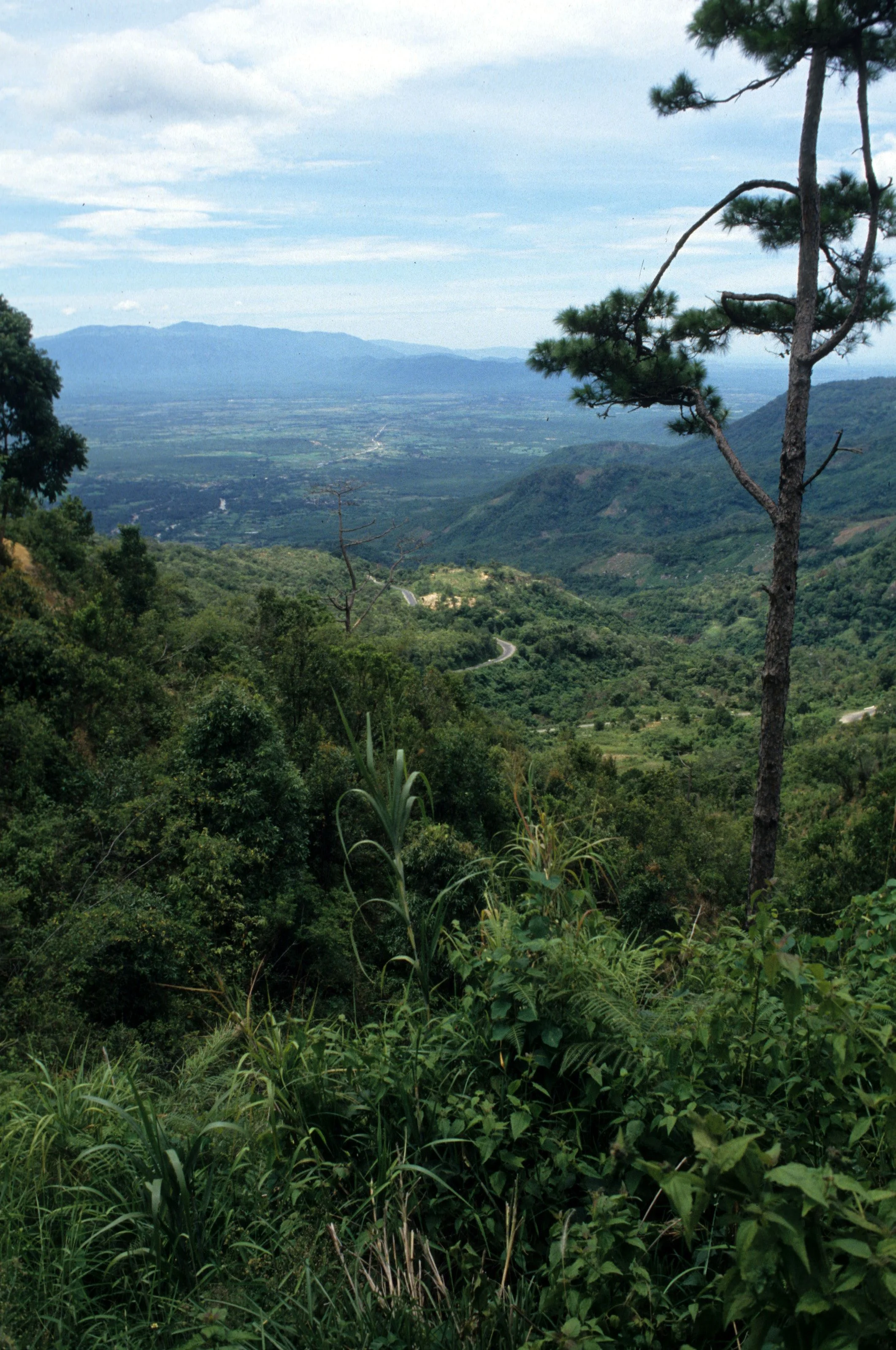CENTRAL HIGHLANDS - VIEW FROM (3).jpg