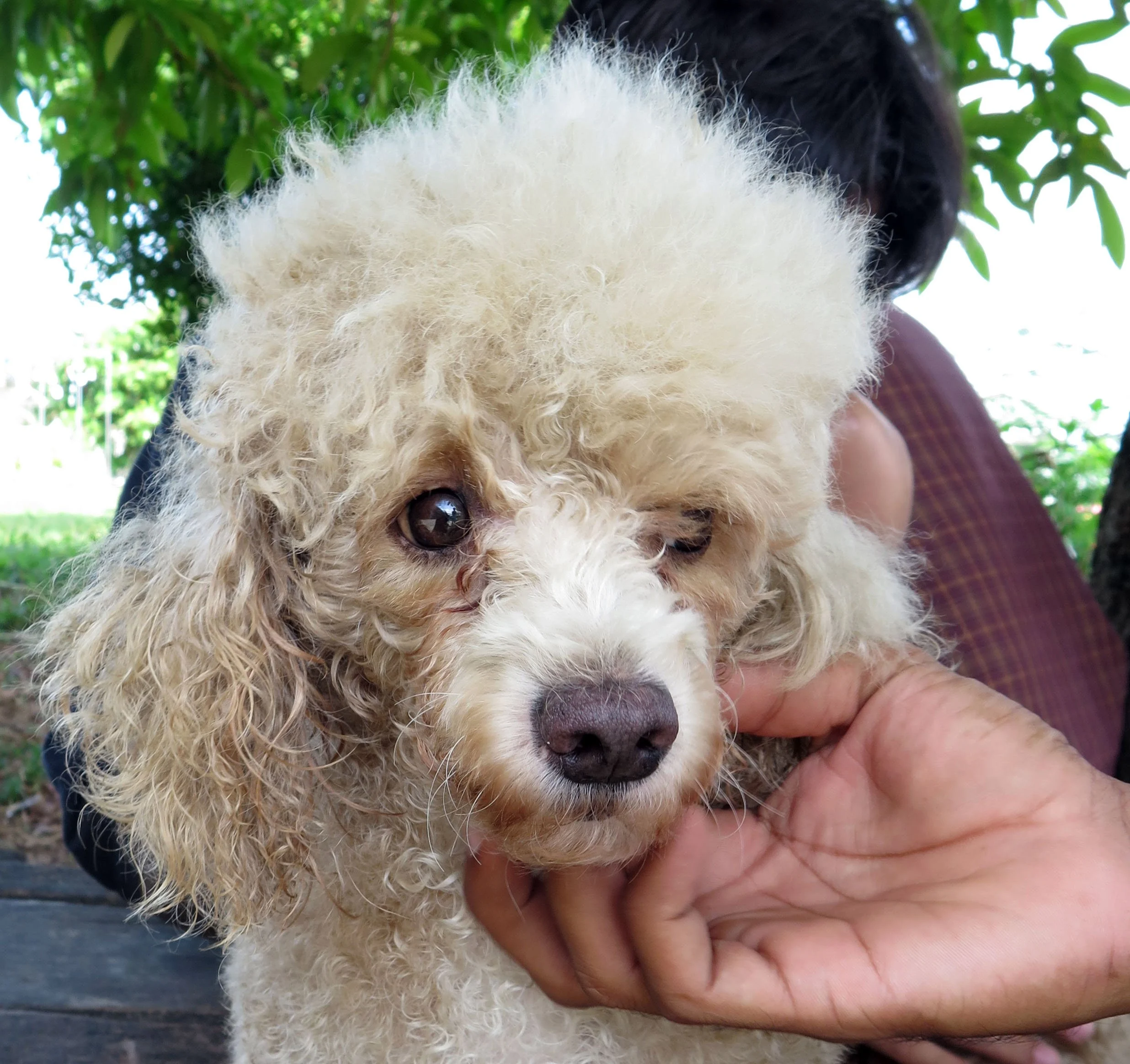 2014 Nakhonsithammarat with Family (60).JPG