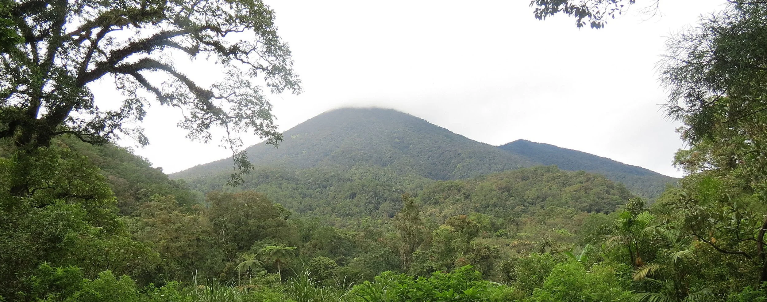GEDE NATIONAL PARK - JAVA BARAT INDONESIA (62).JPG