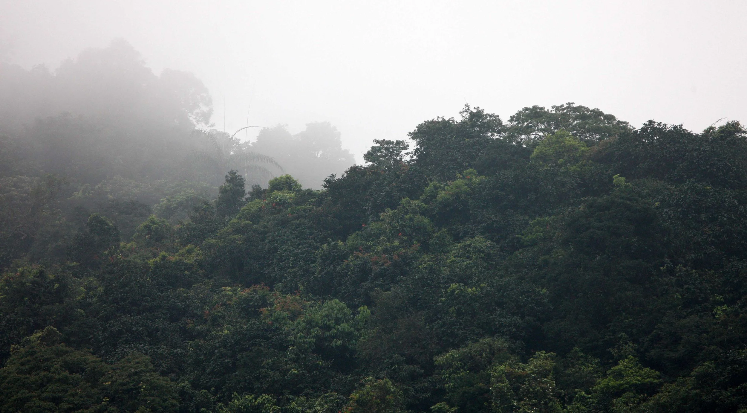 BACH MA NATIONAL PARK AND VICINIT VIET NAM (16).JPG