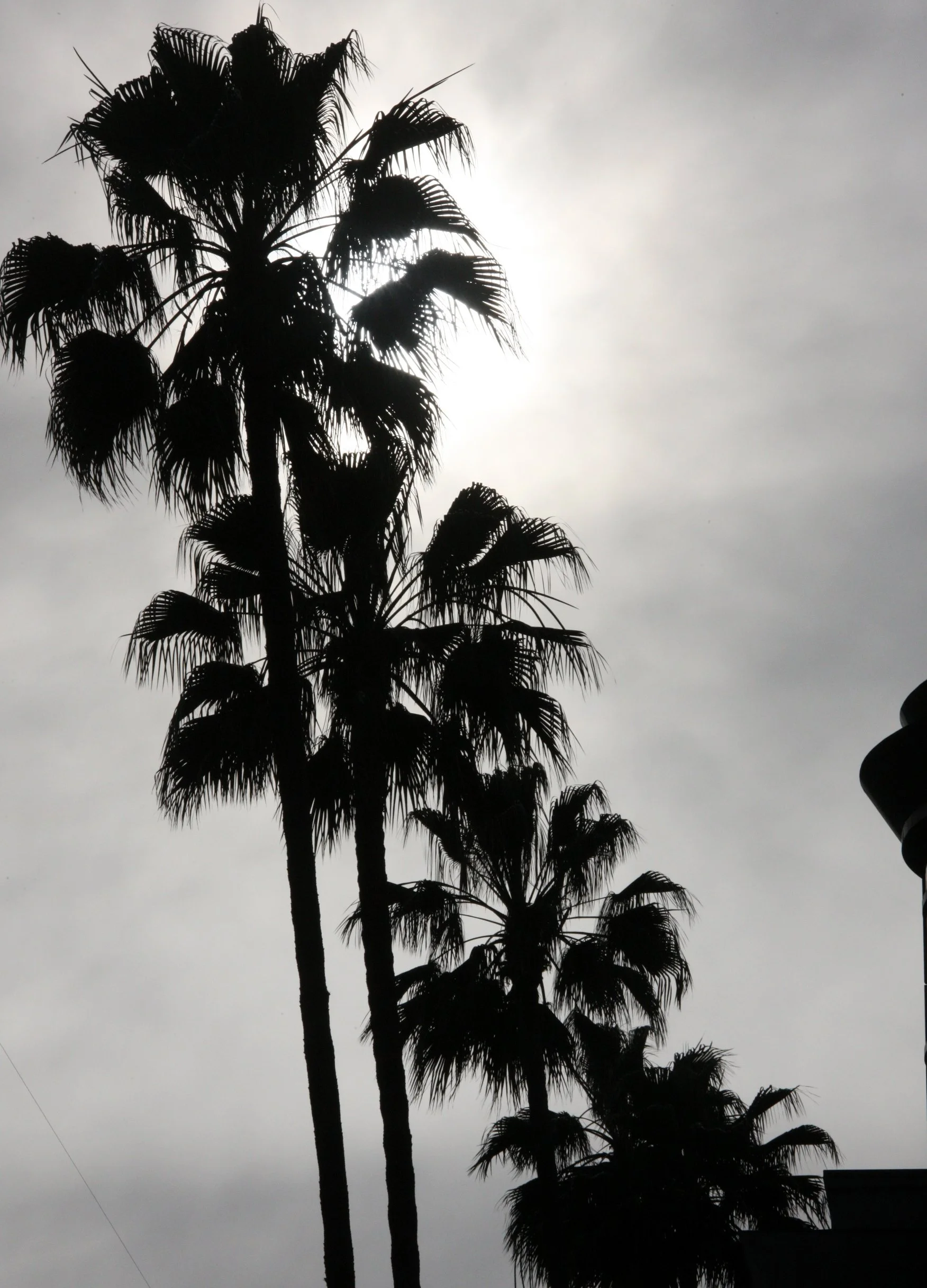 2010-4-4 BEVERLY HILLS & HOLLYWOOD - ROADTRIP 2010 (10).JPG