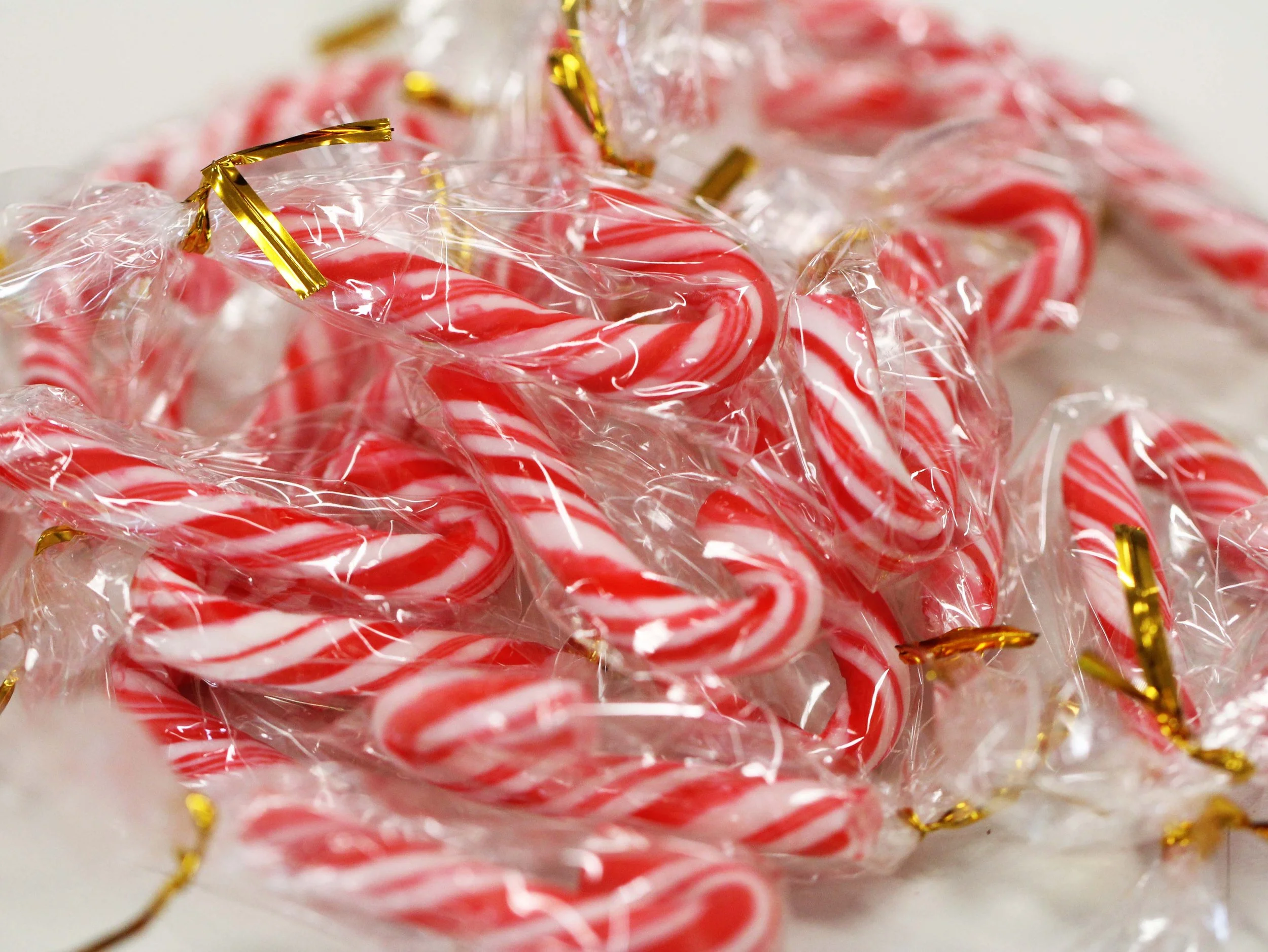 2013 Christmas Time at ISB (4).JPG