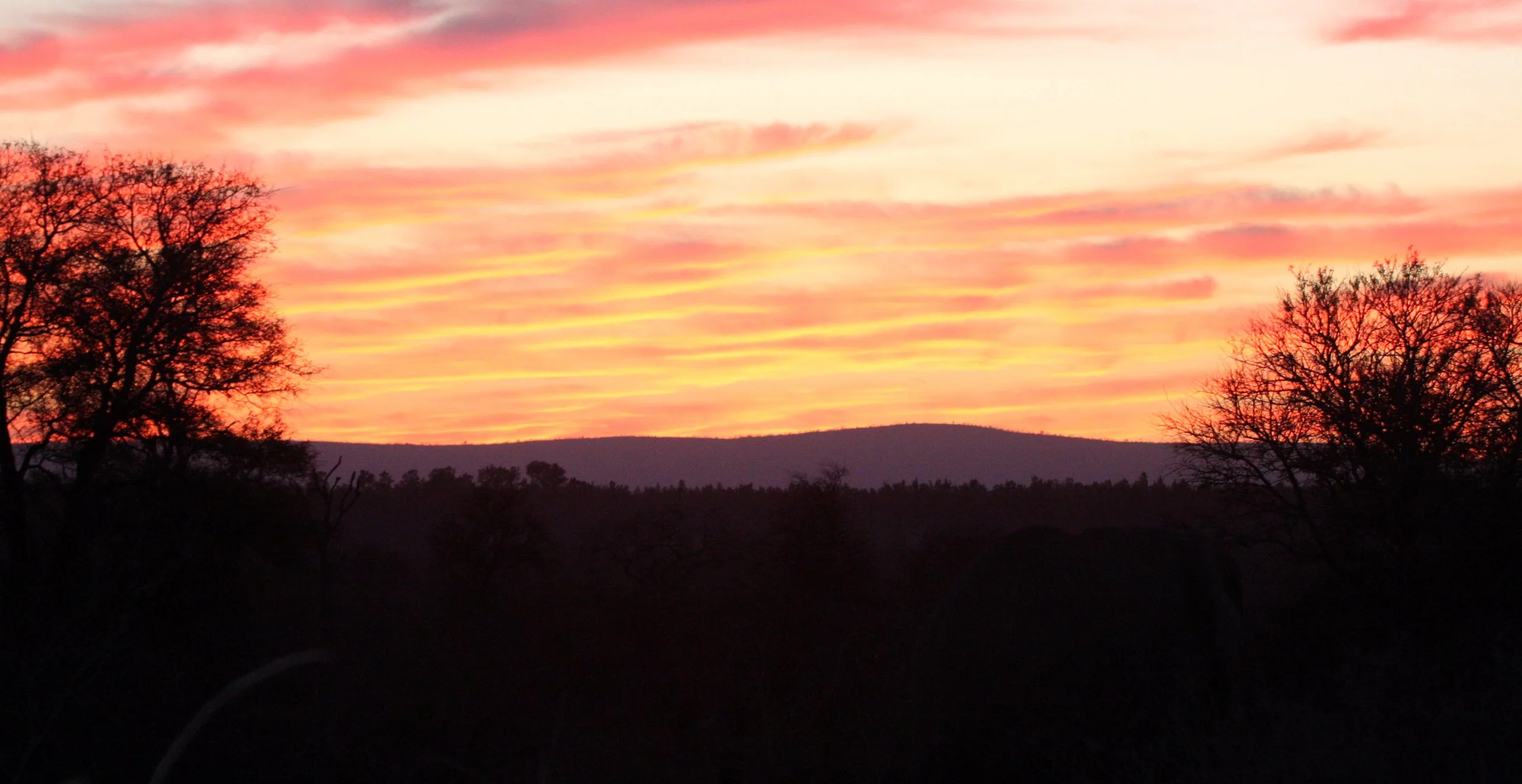 KRUGER NATIONAL PARK SOUTH AFRICA - SUNSET (5).JPG