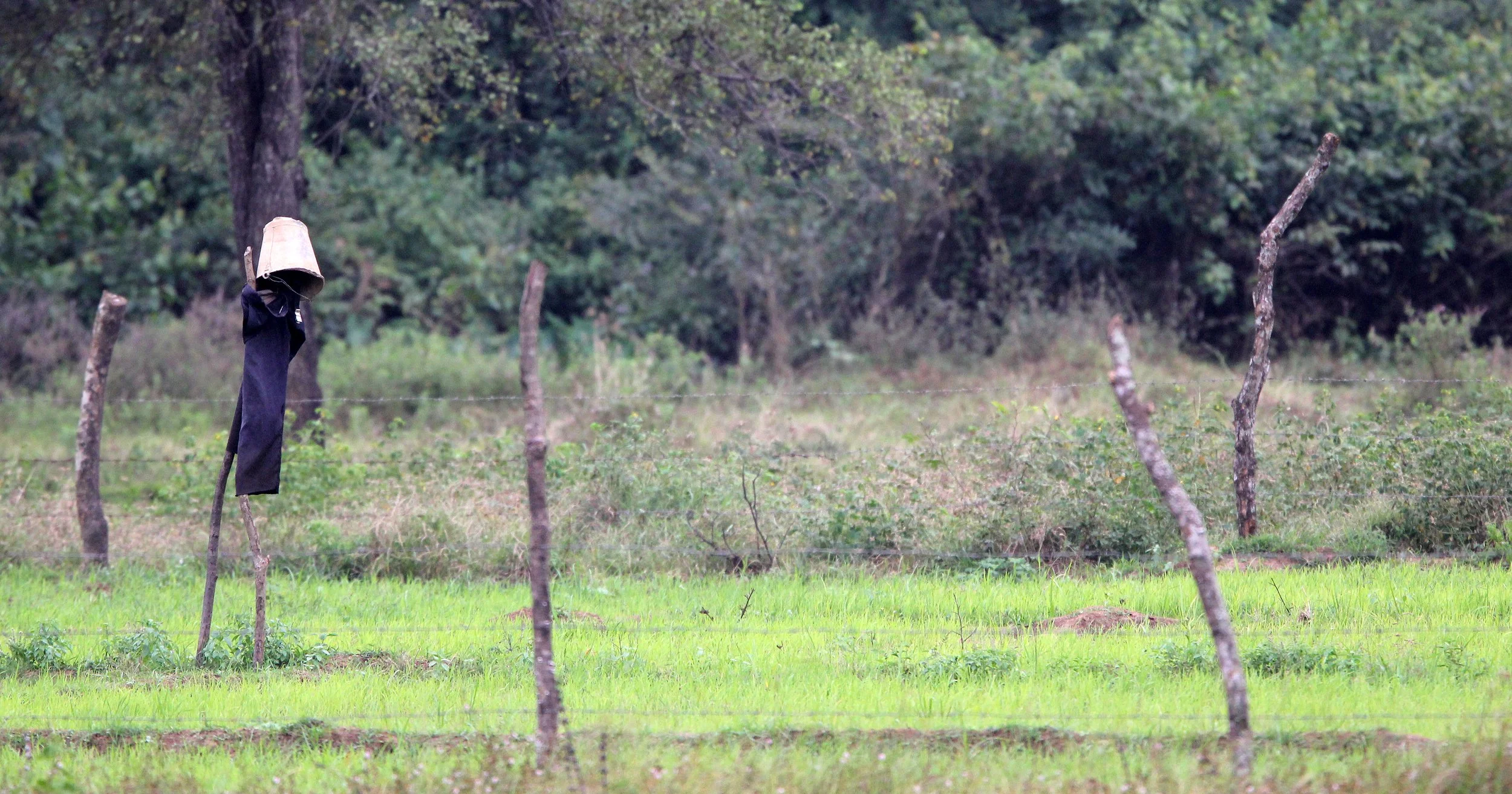 SIRIGIYA FOREST SRI LANKA (7).JPG
