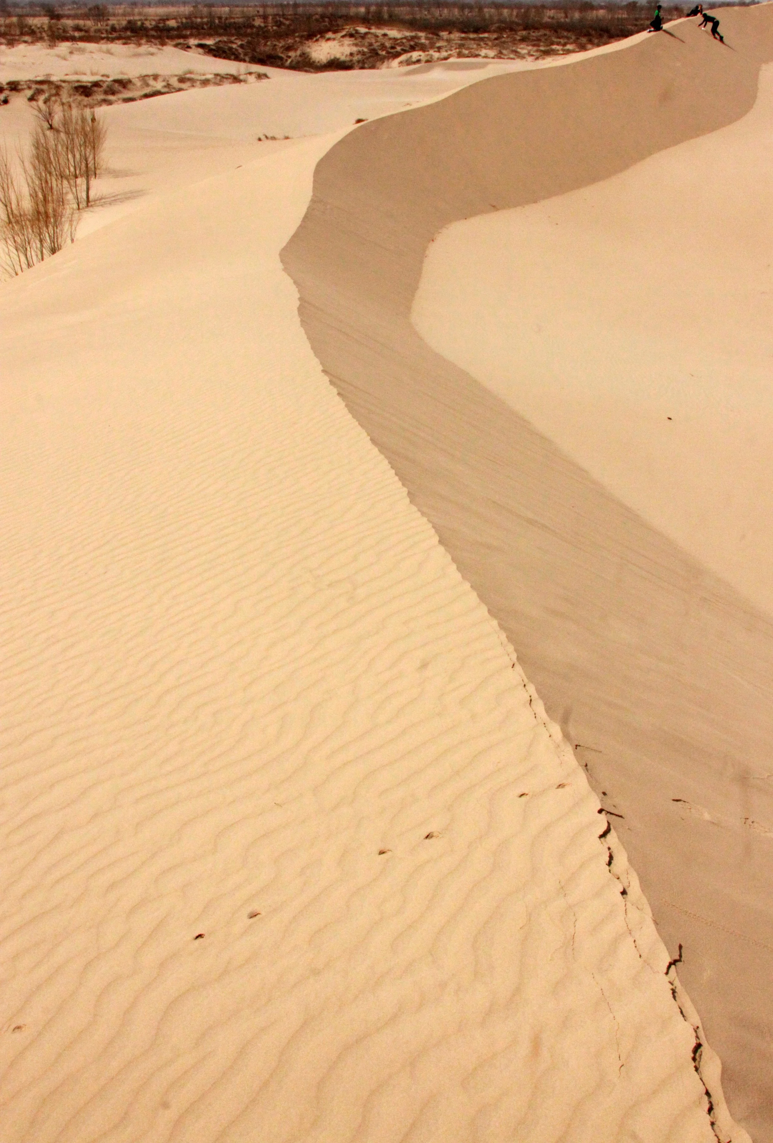 KULUN QI INNER MONGOLIA CHINA - DUNES (41).JPG